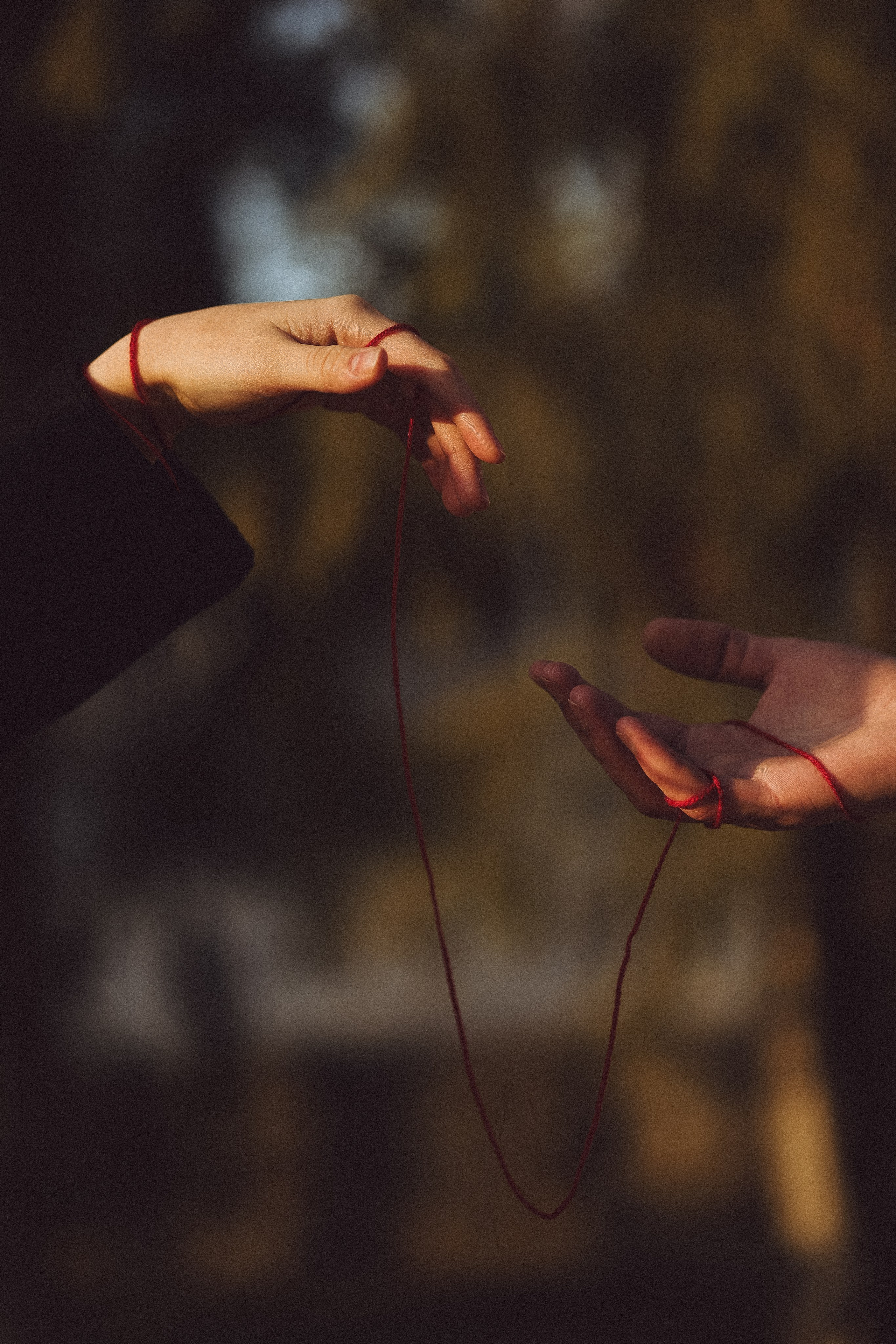 «Связаны нитью…». Свадебный фотограф | Ростов-на-Дону | Краснодар | Сочи