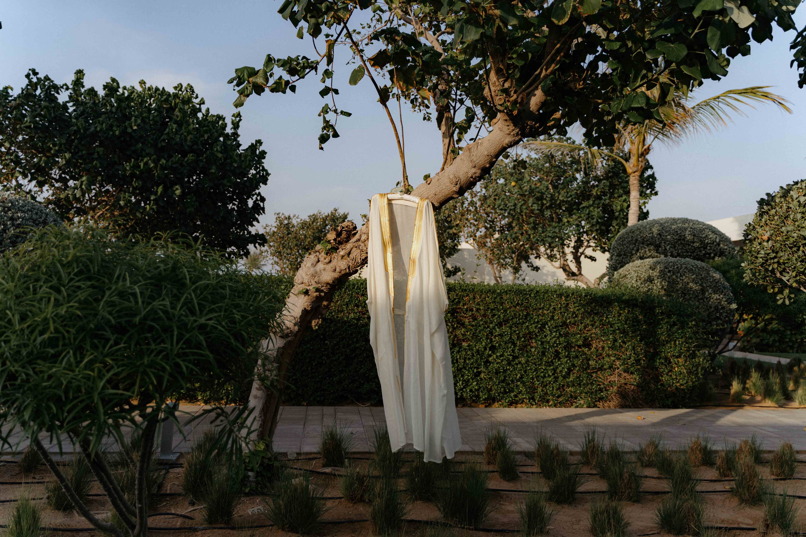 Wedding photo Sarah engagement