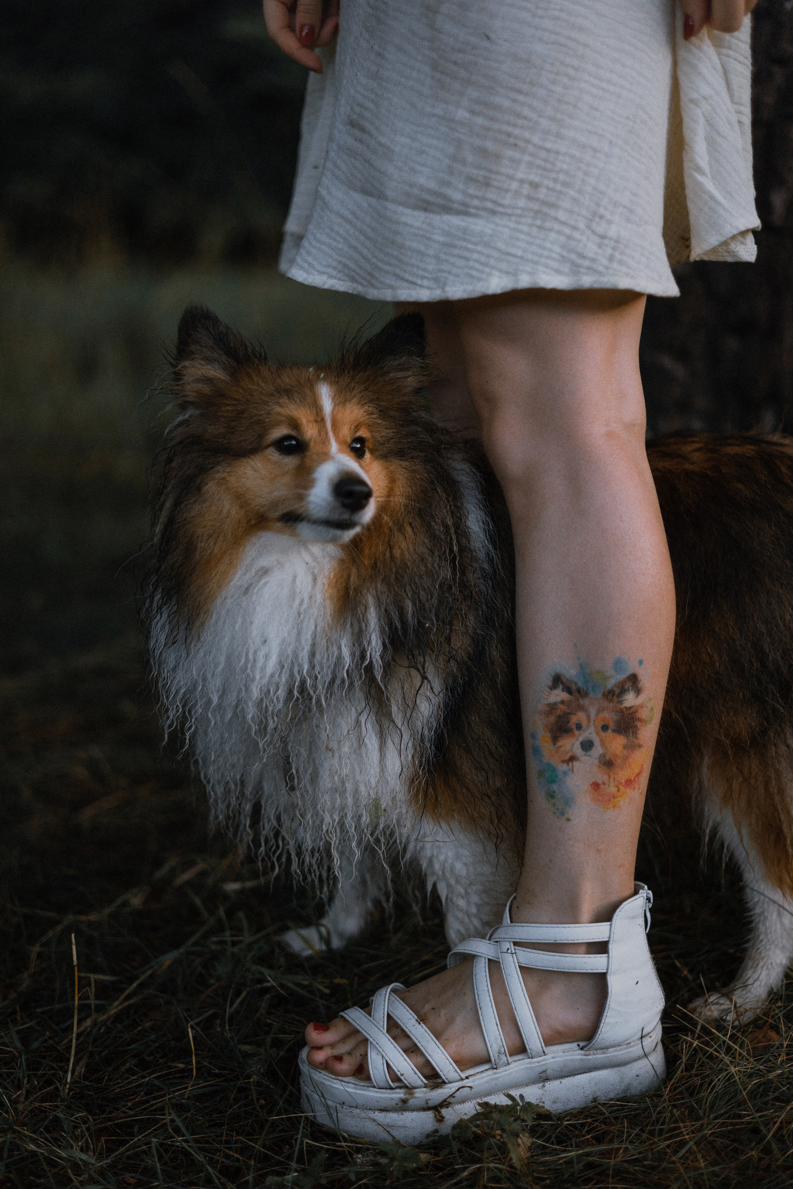 Аня и Скай. Фотограф-анималист Богданова Полина