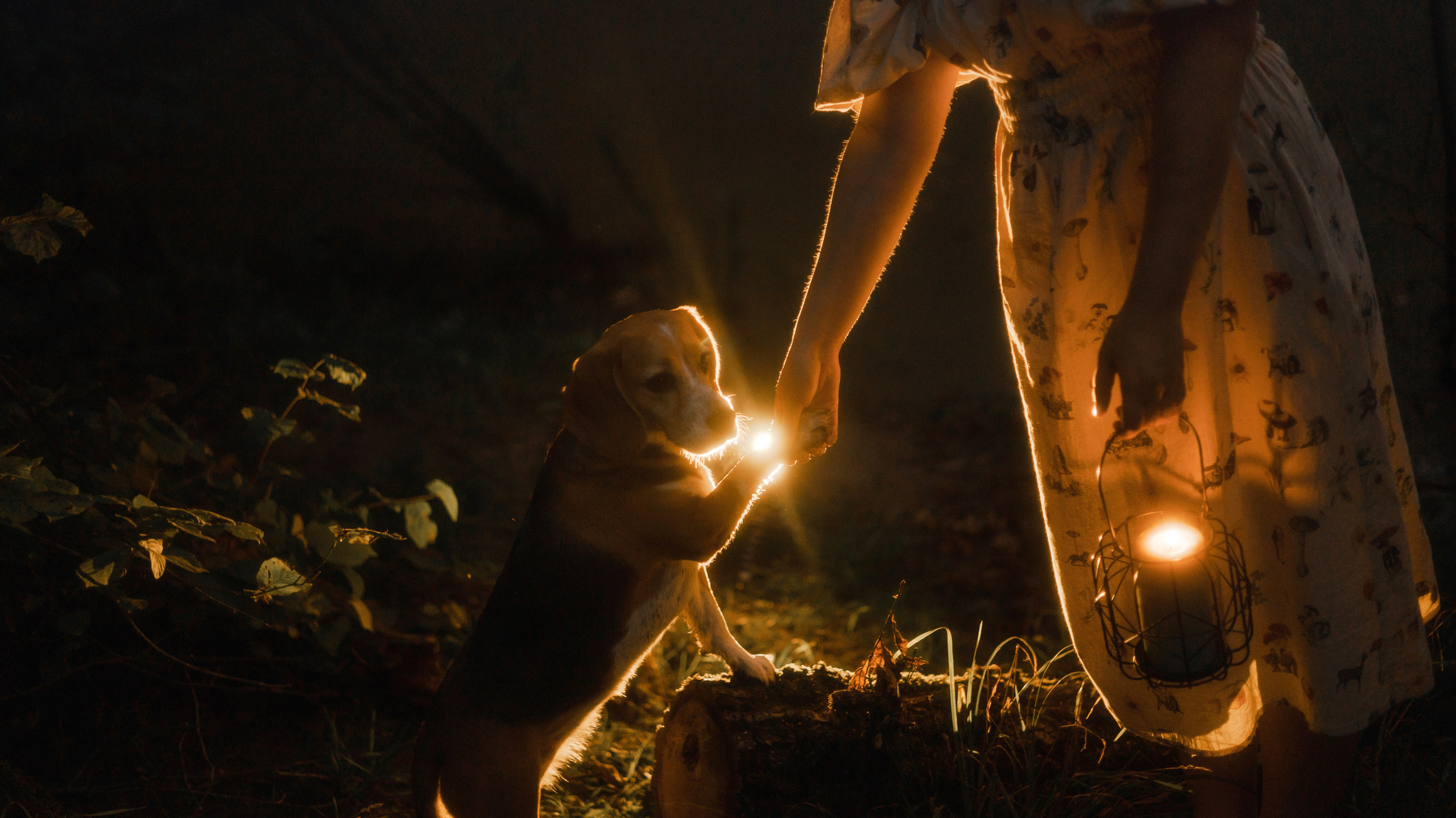 Лиза и Сара. Фотограф-анималист Богданова Полина