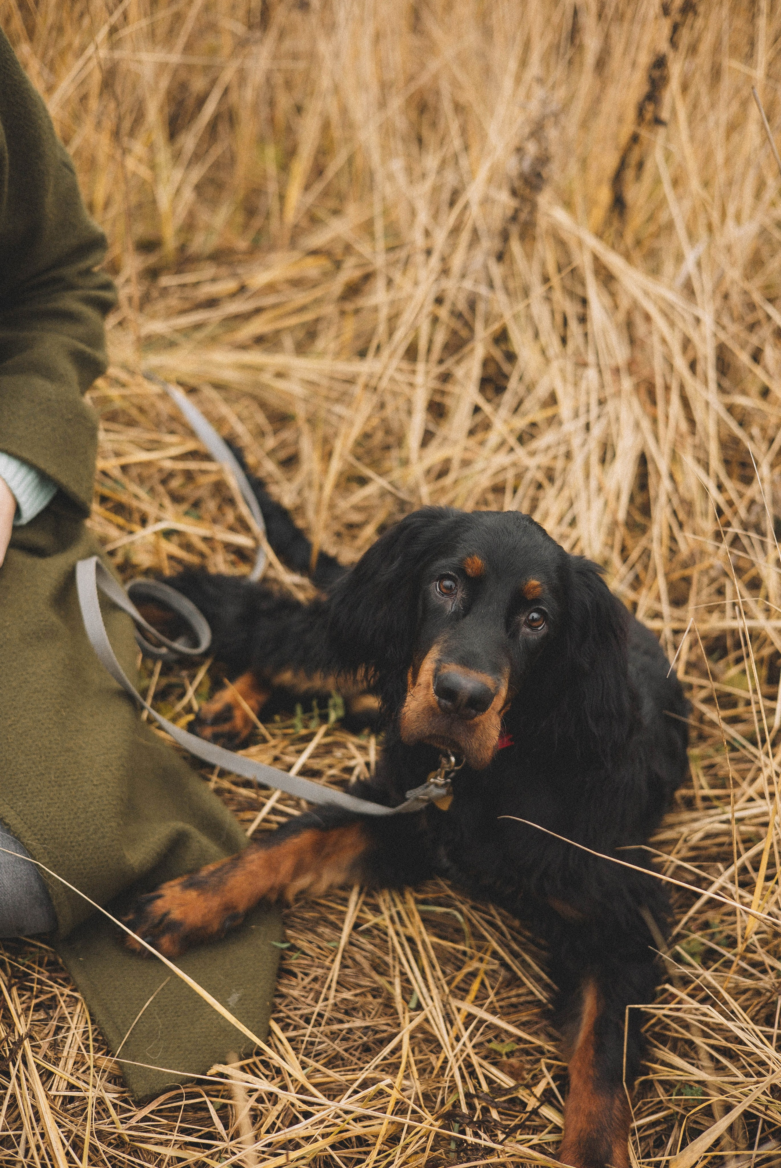 Даша, Глеб, Барс и Бруно. Фотограф-анималист Богданова Полина