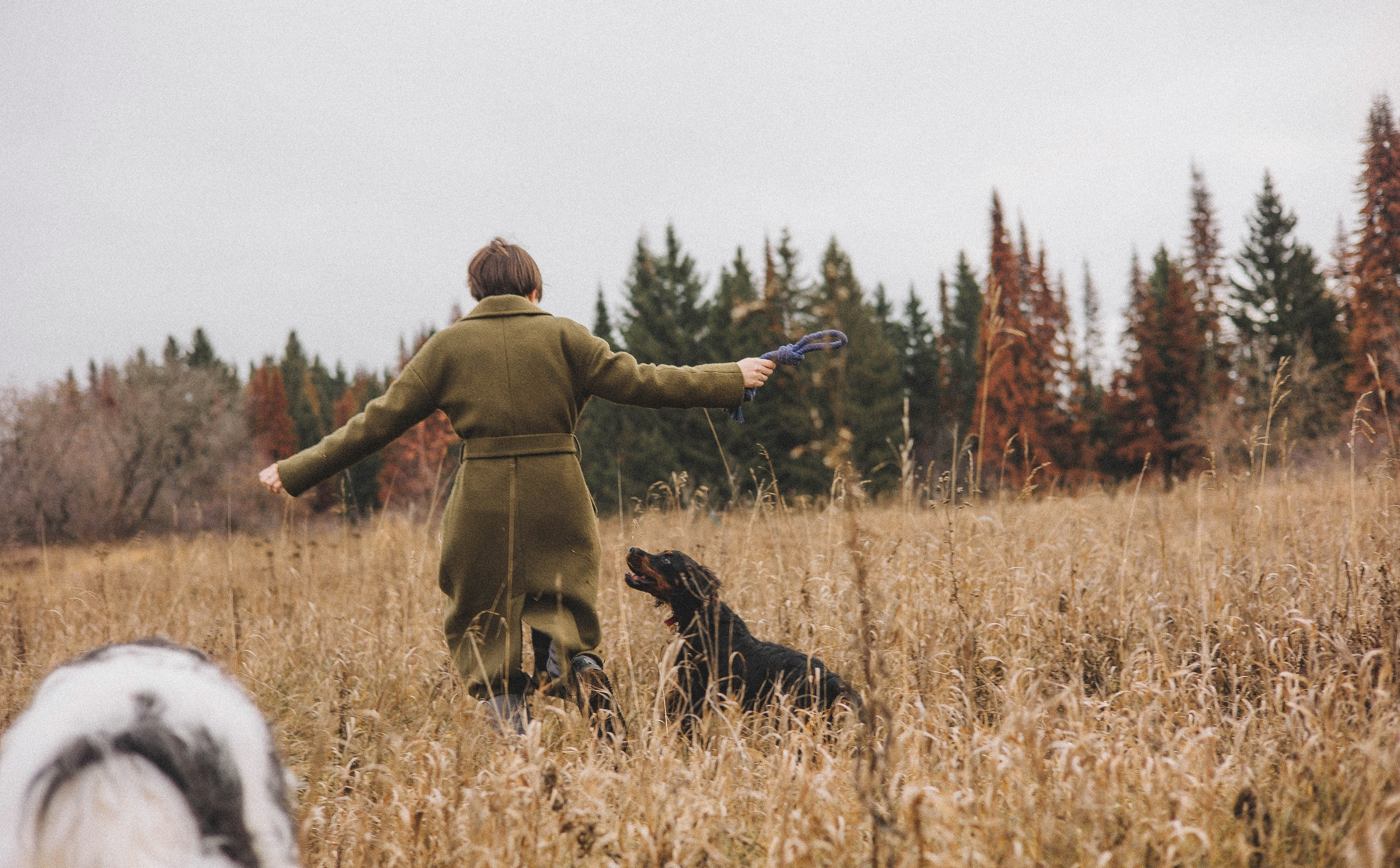 Даша, Глеб, Барс и Бруно. Фотограф-анималист Богданова Полина
