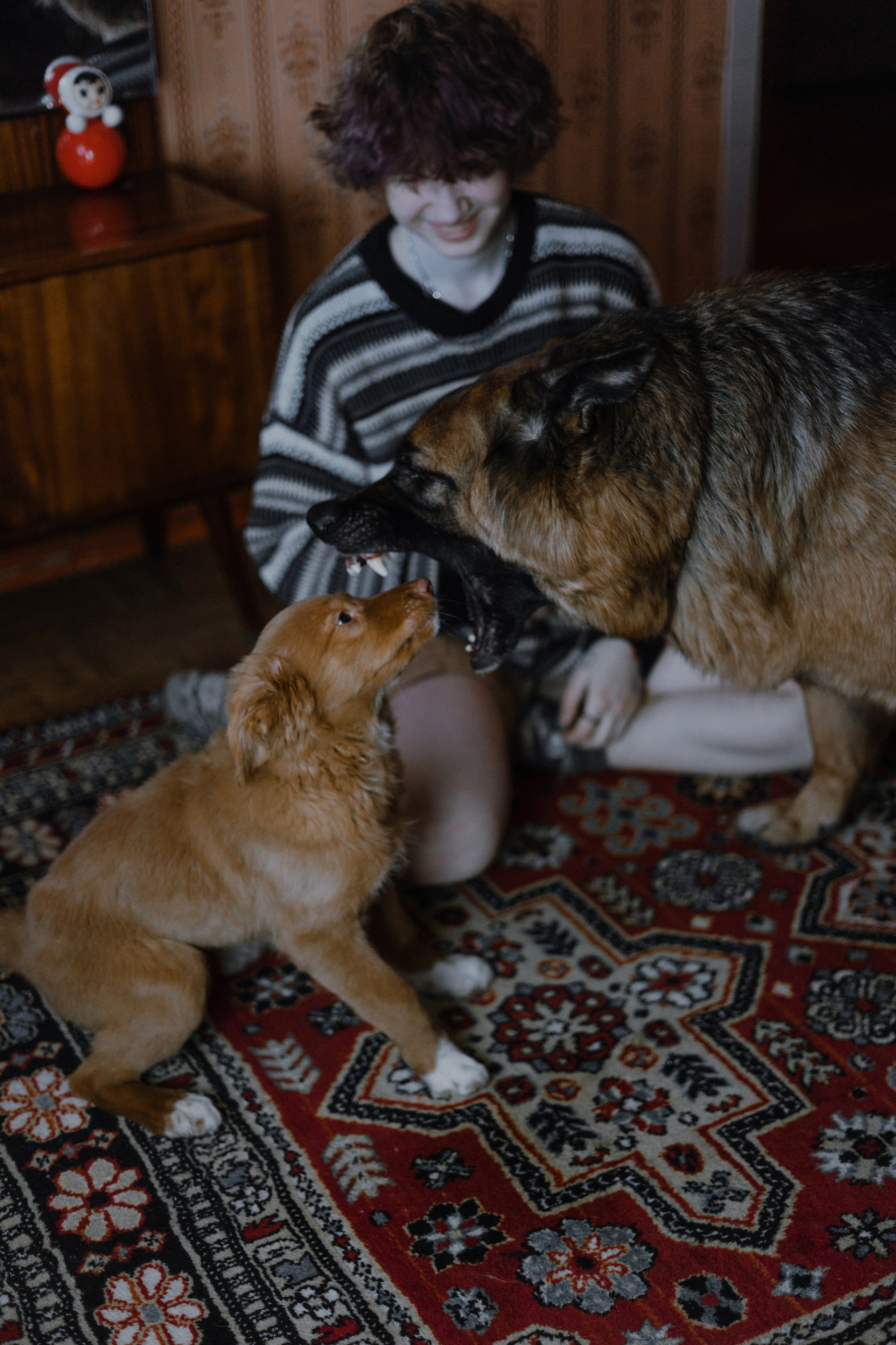 Лера, Реджи и Ральф. Фотограф-анималист Богданова Полина