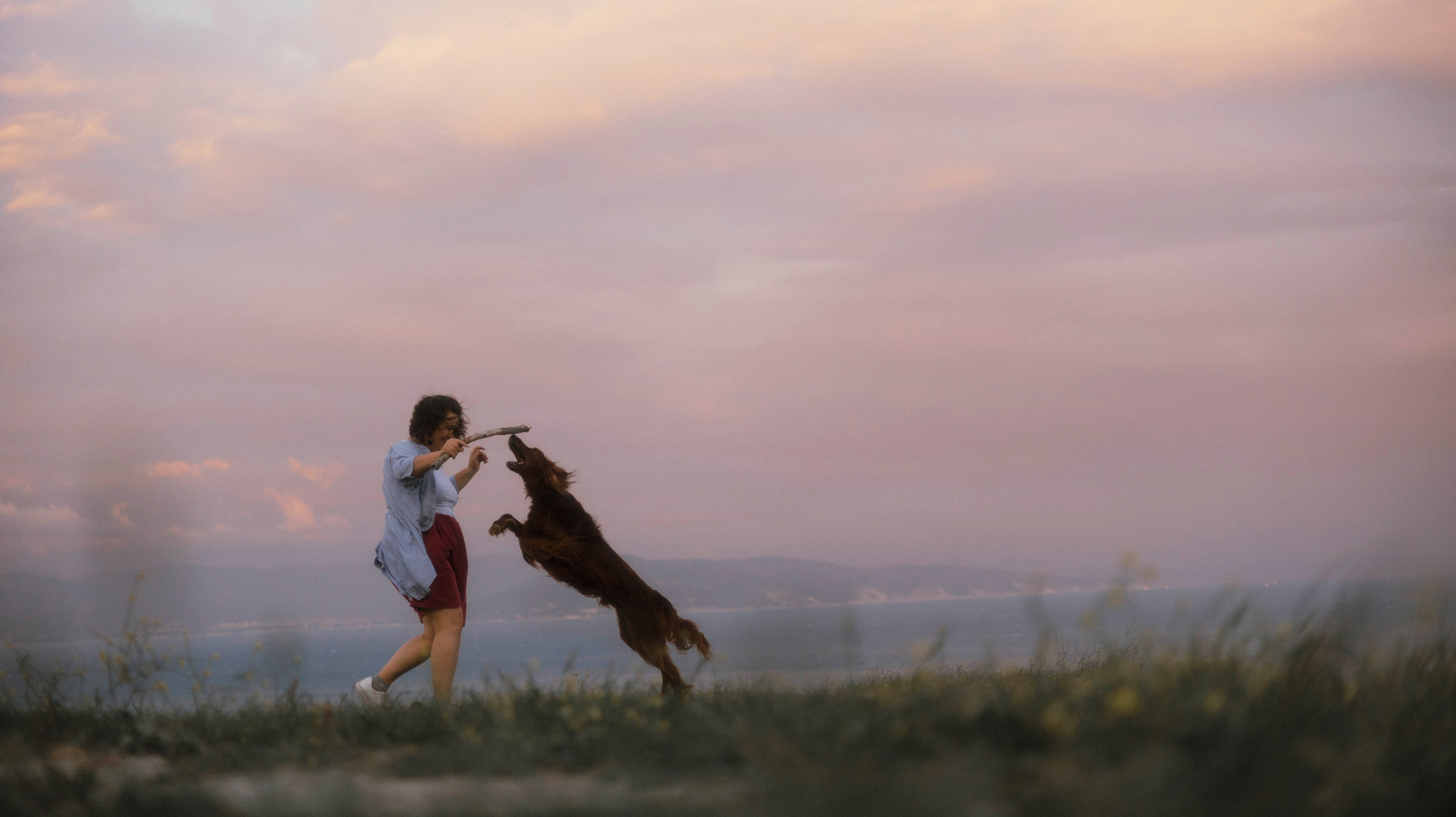 Ольга и Шеймас. Фотограф-анималист Богданова Полина