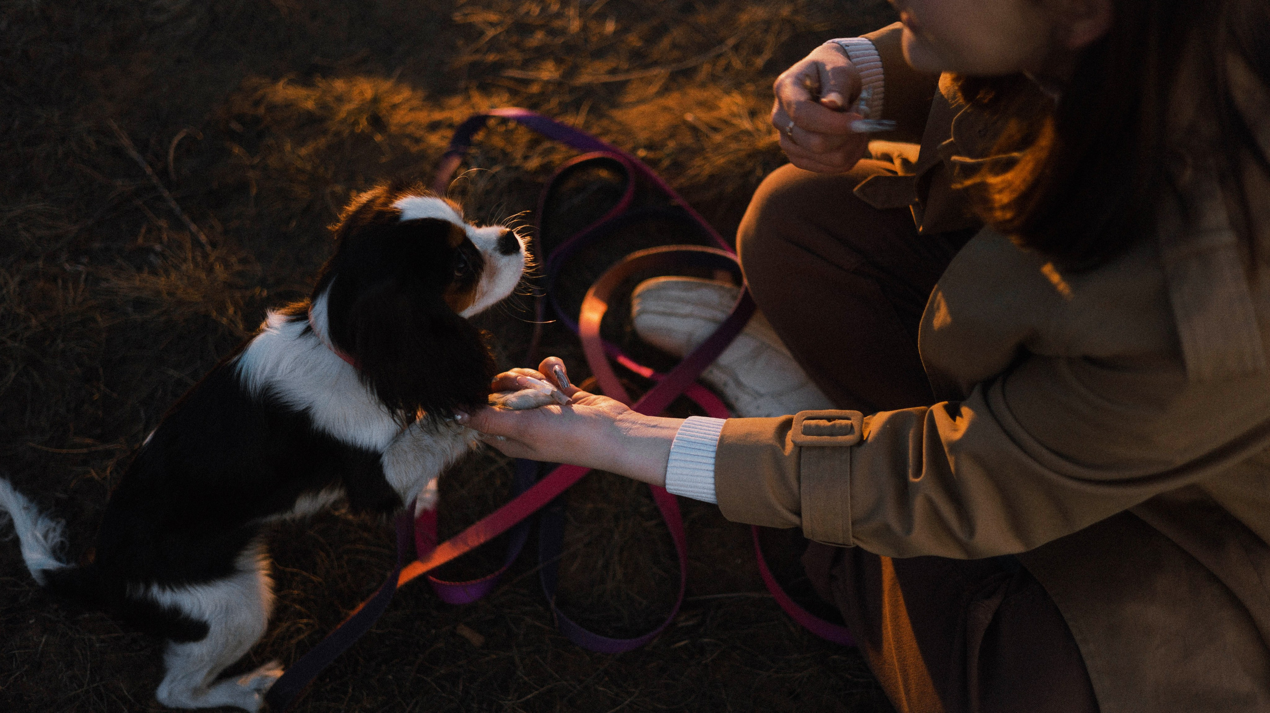 Ангелина и Йен. Фотограф-анималист Богданова Полина