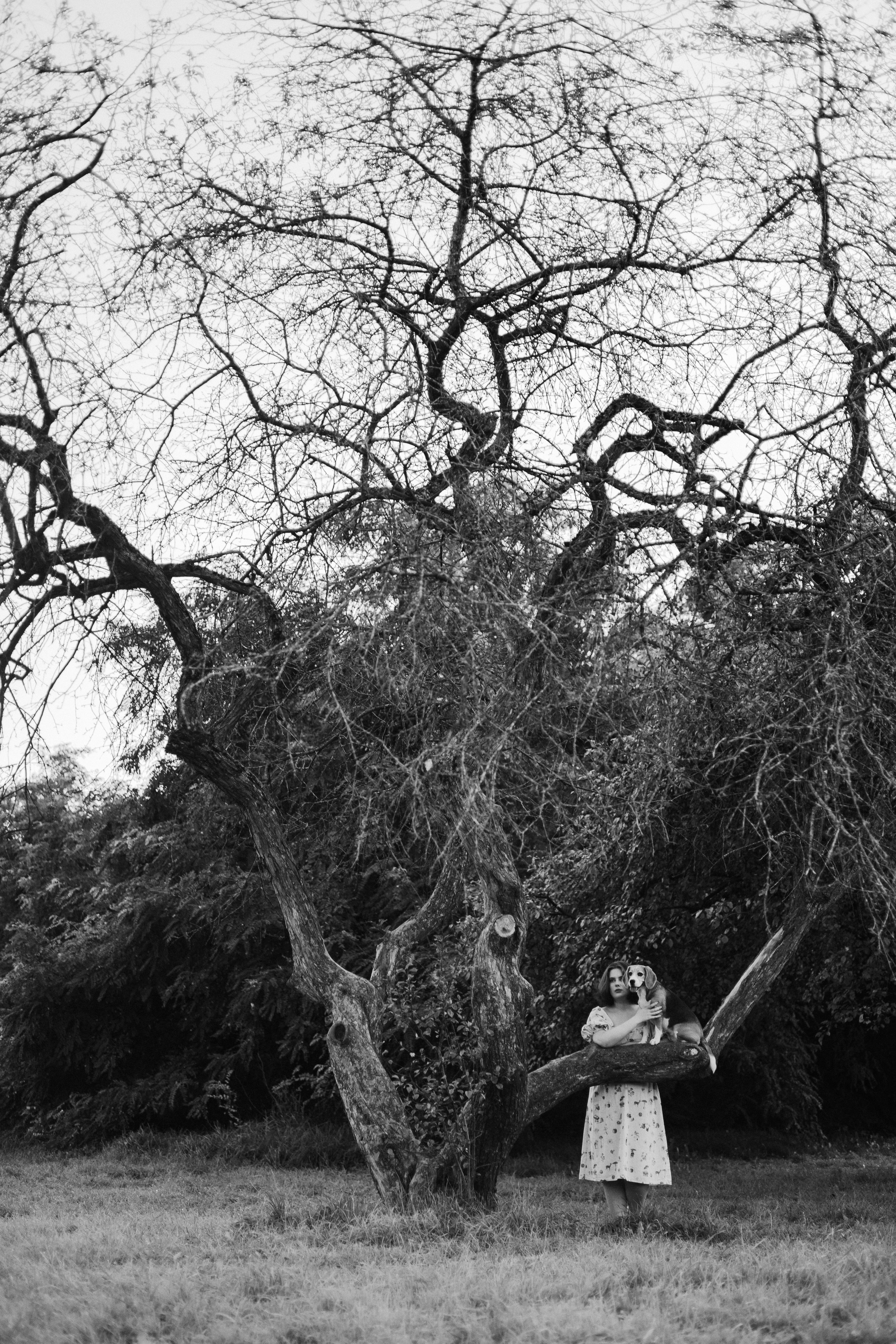 Лиза и Сара. Фотограф-анималист Богданова Полина