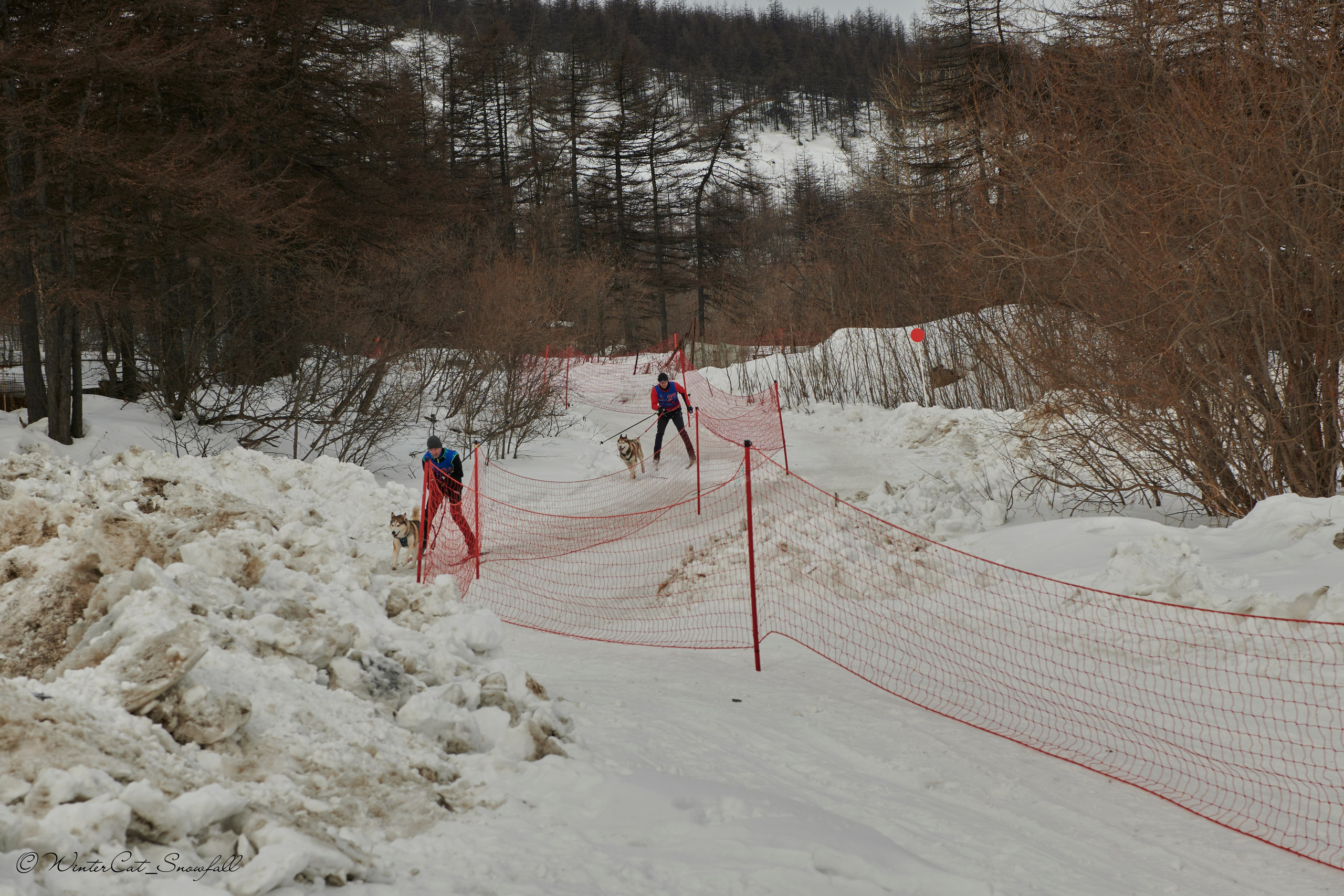 Дзяблу 30.03. Портретный и репортажный фотограф в Магадане Андрей Нефедов WinterCatPhoto