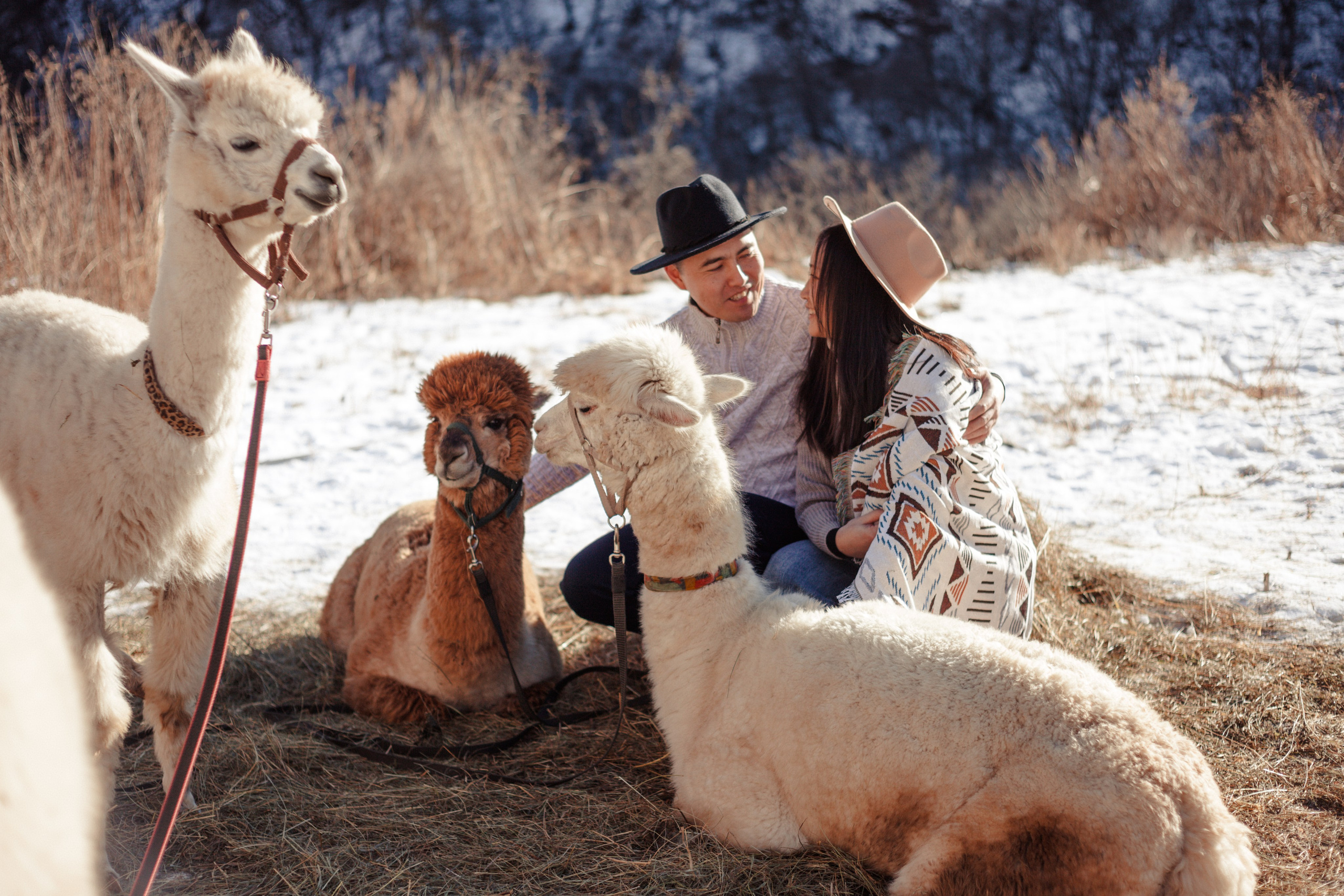 фотосессия в горах· фотограф в горах кавказа· семейная фотосессия в горах· свадебная фотосессия в горах· фотосессия на эльбрусе· фототур в горы· фотограф на природе· фотосъемка в стиле натура· портрет на природе· выездная фотосессия,свадьба в горах,свадебный фотограф в горах,фотограф Домбай,фотограф Архыз,фотограф Эльбрус,фототур в горы,фототур Кавказ