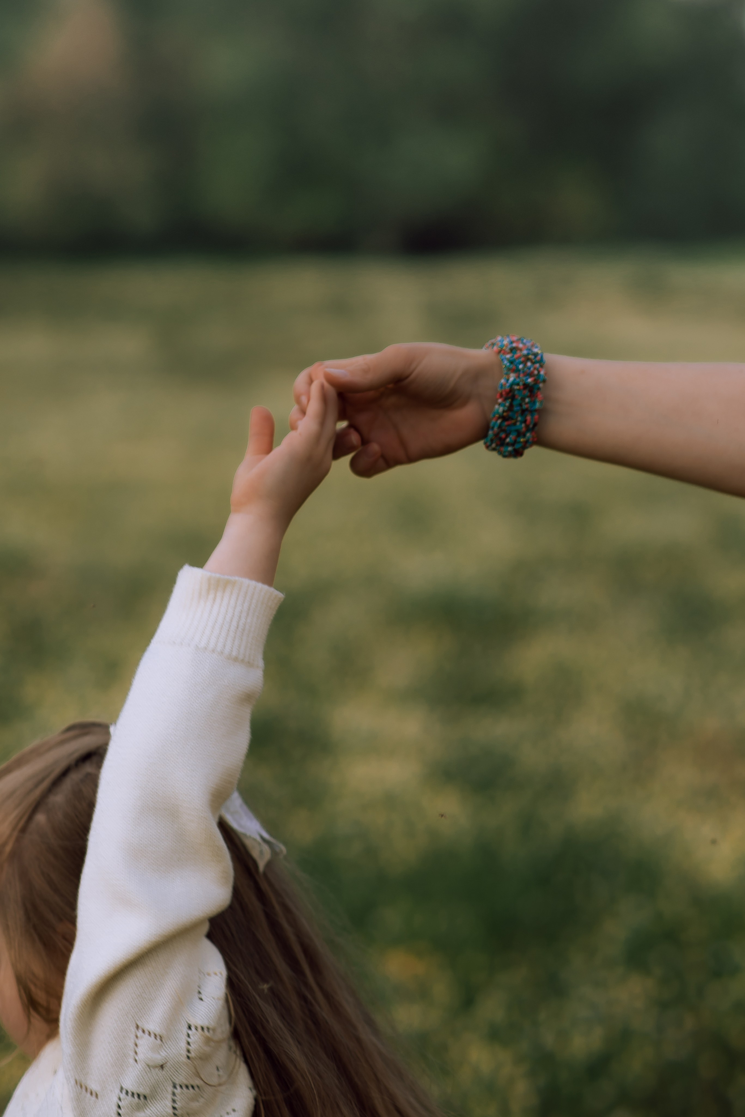 Ромашковое поле, полное любви. Главная