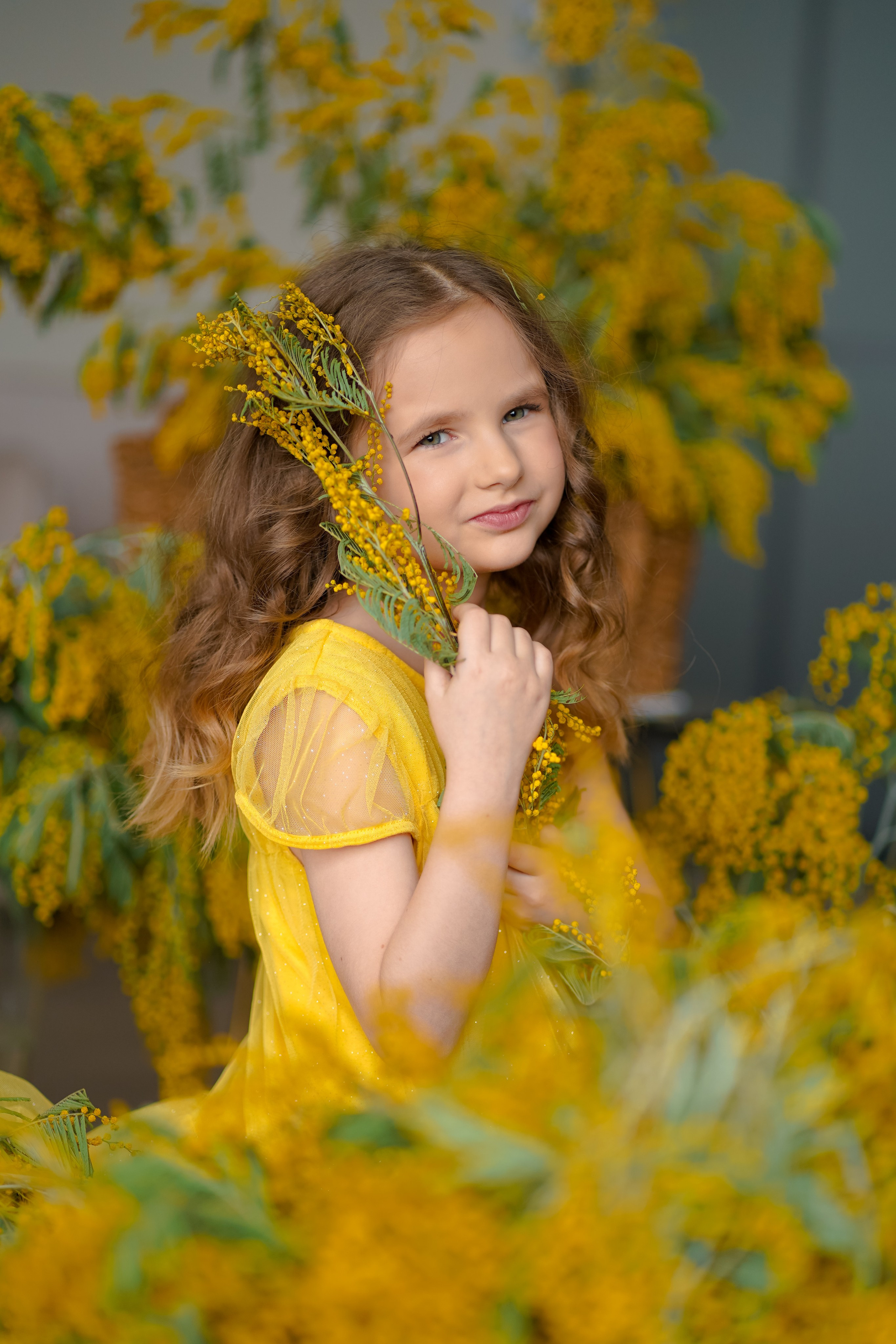 Мимоза. Фотограф Татьяна Митрофанова