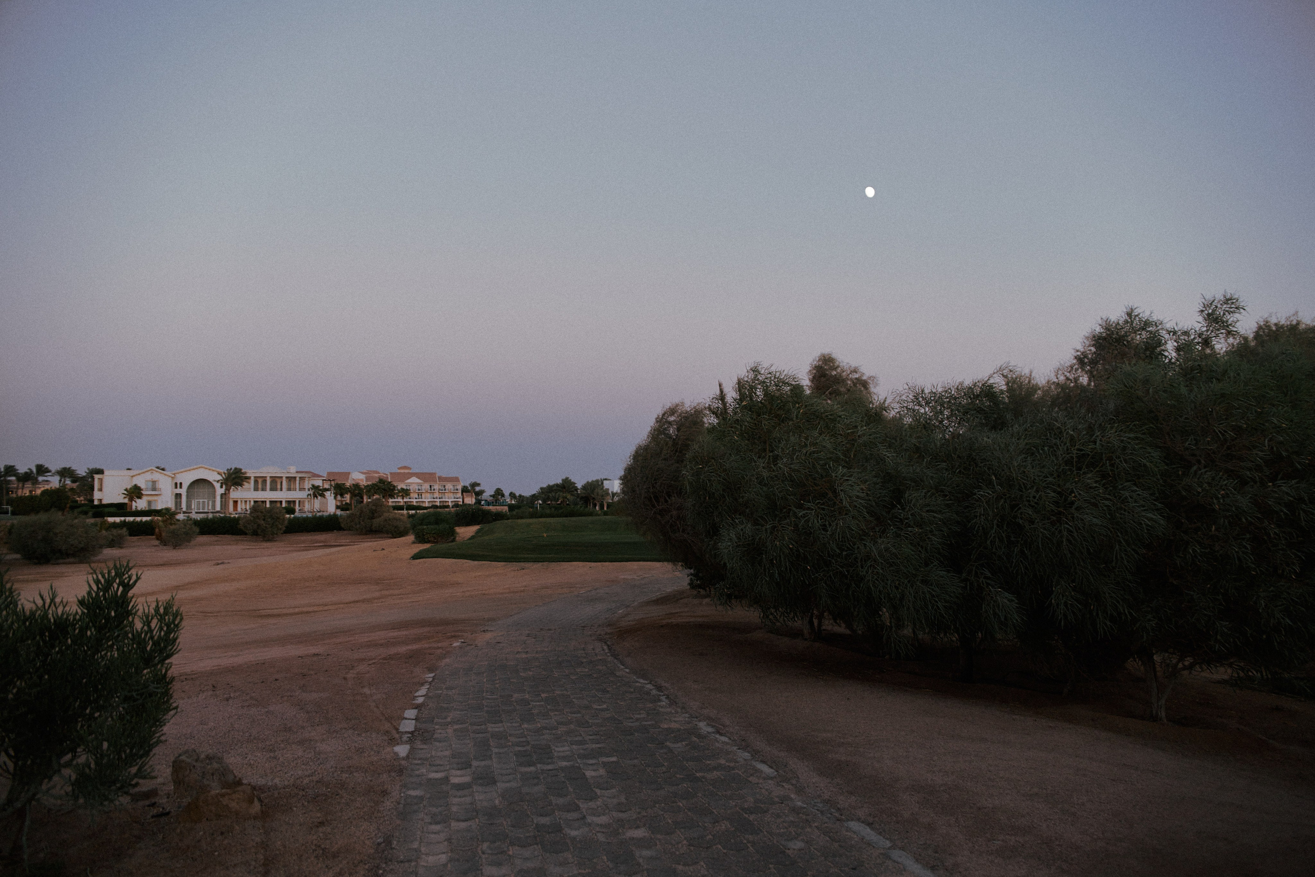 Улица горизонтальная. Jorgis — фотограф в Хургаде / обучение фотографии