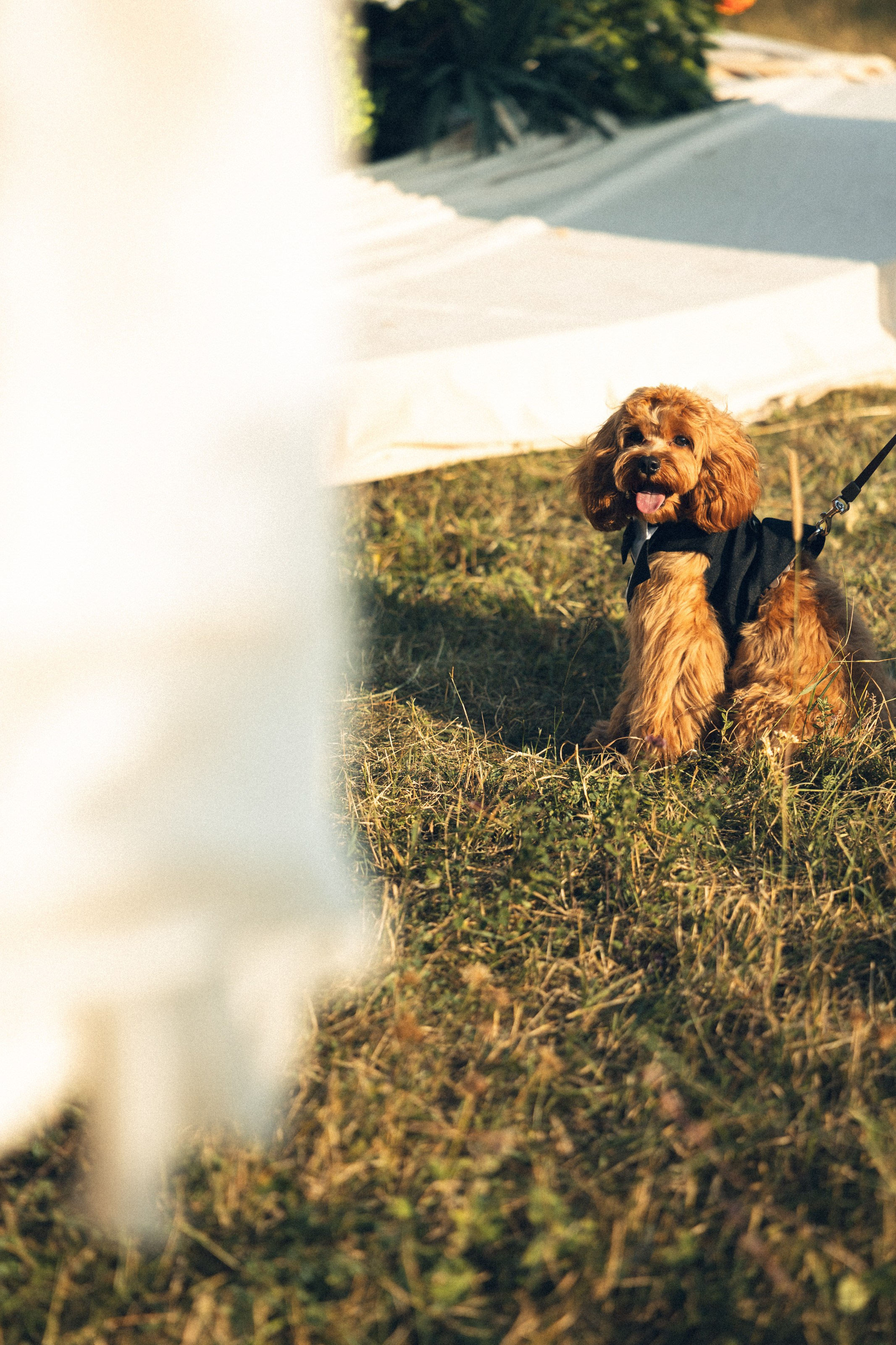 Влад и Ева. Свадебный фотограф в Ростове — на — Дону Александра Пивоварова