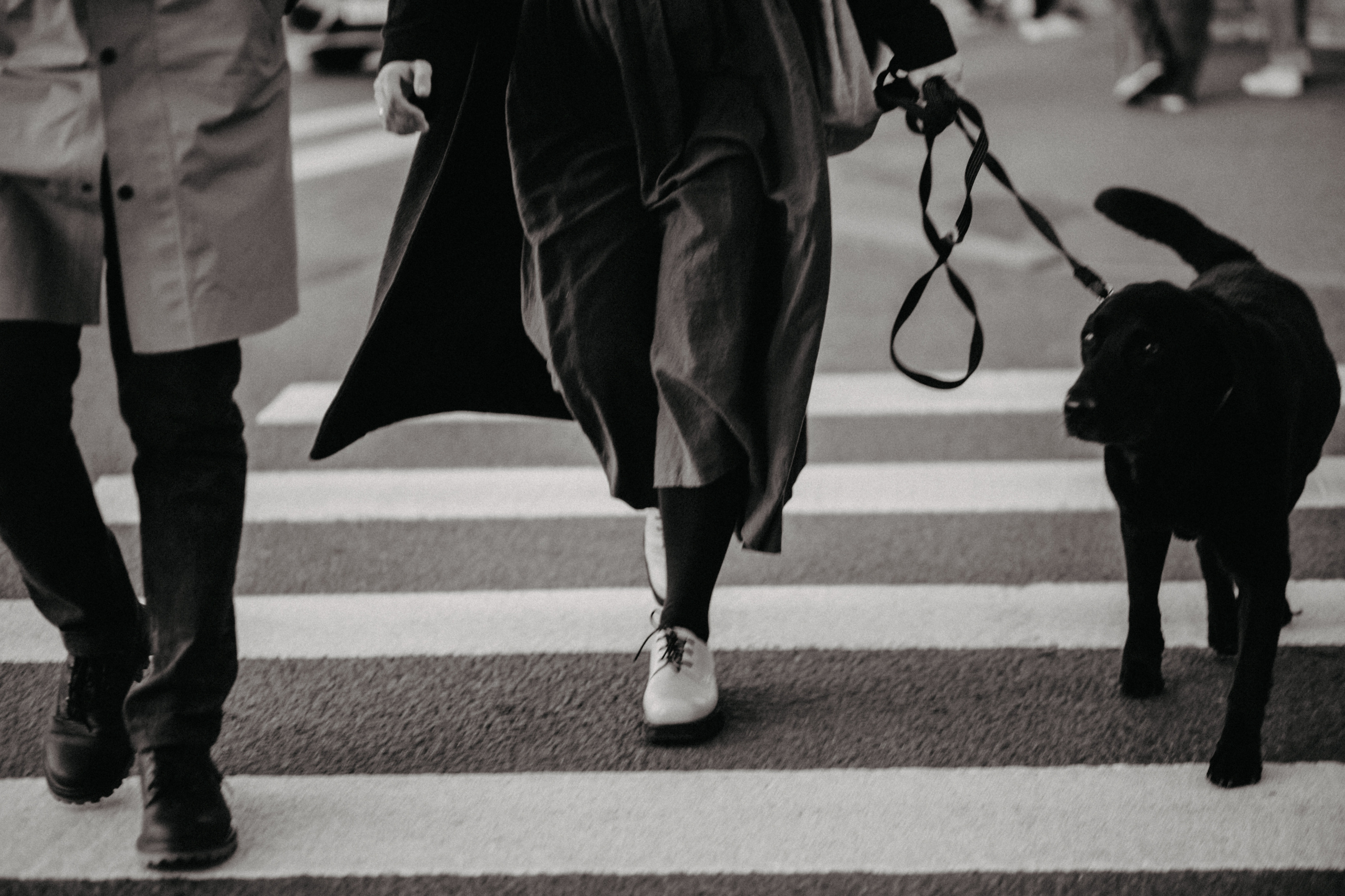 Рома, Катя и Винсент. Свадебный фотограф в Санкт-Петербурге Анастасия Селиванова