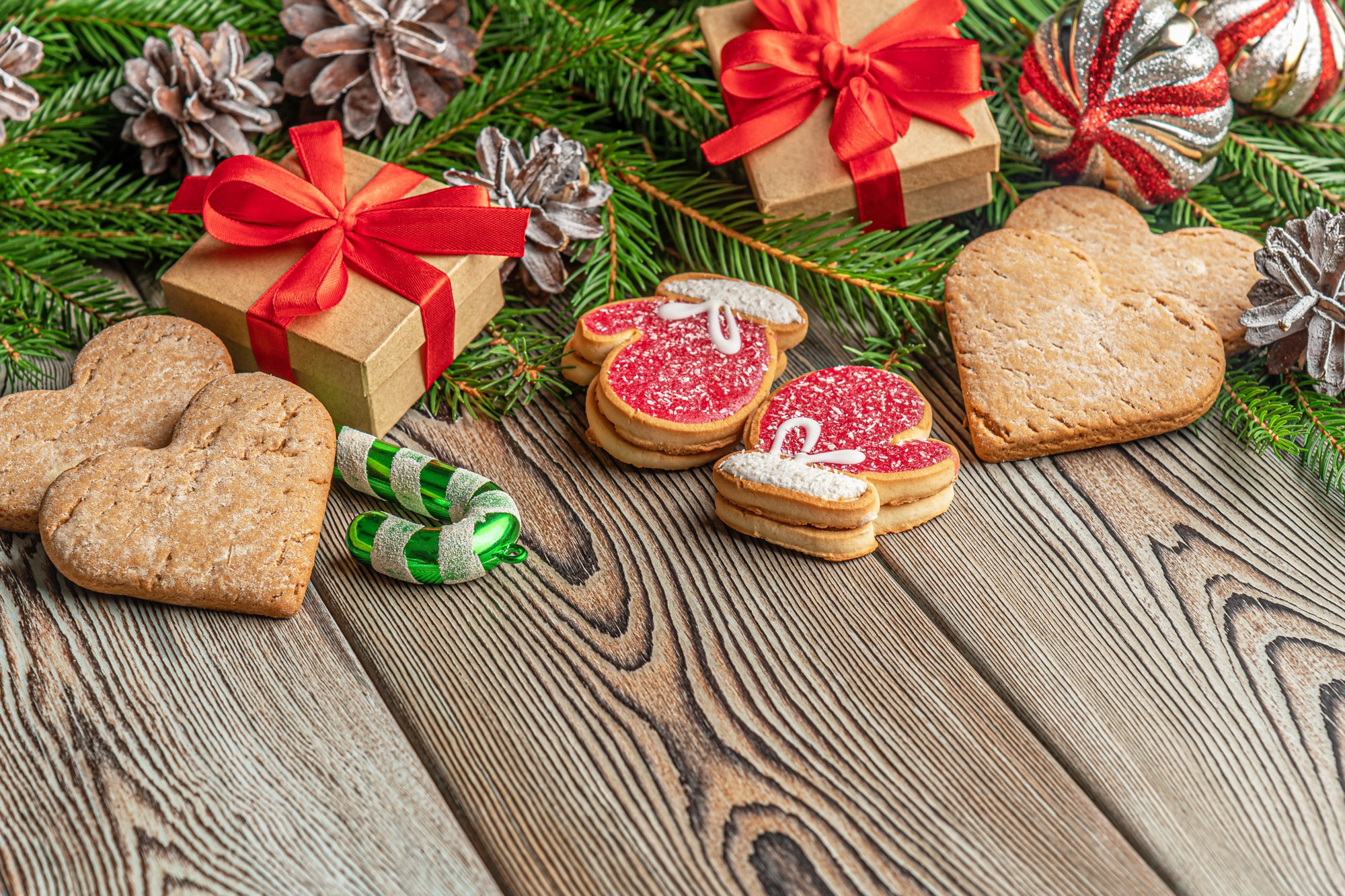 Christmas/New year. Мария Абаза, фотограф. Реховот, Израиль