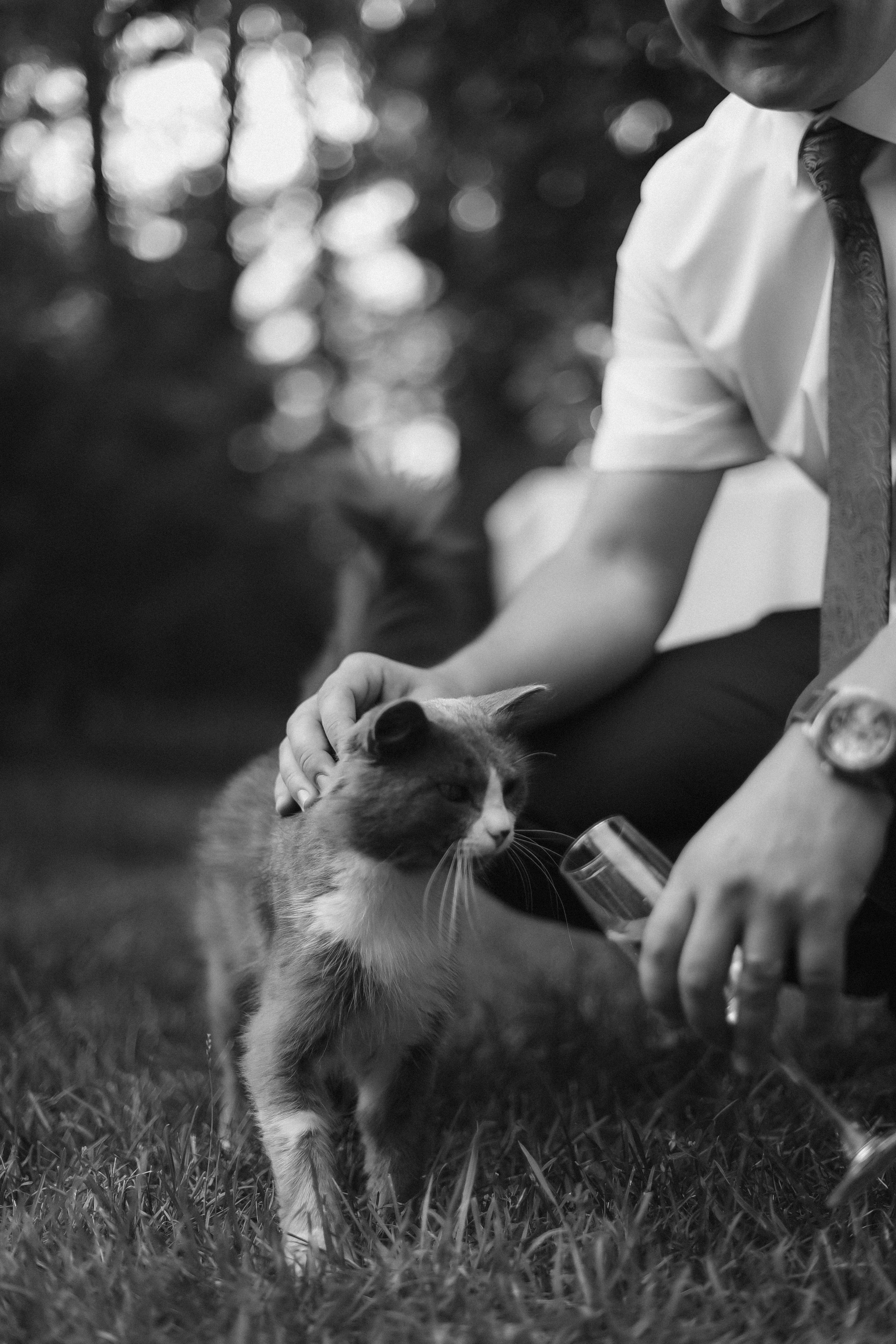 Данила + Аня — Организация ВАН ЛАВ. Свадебный и семейный фотограф Волгоград Москва