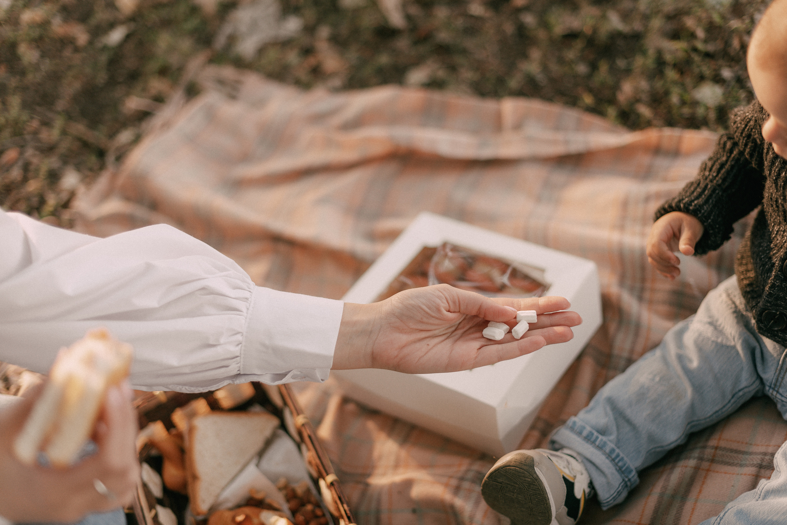 Артур, Соня, Эдгар и Арсен. Свадебный и семейный фотограф Волгоград Москва