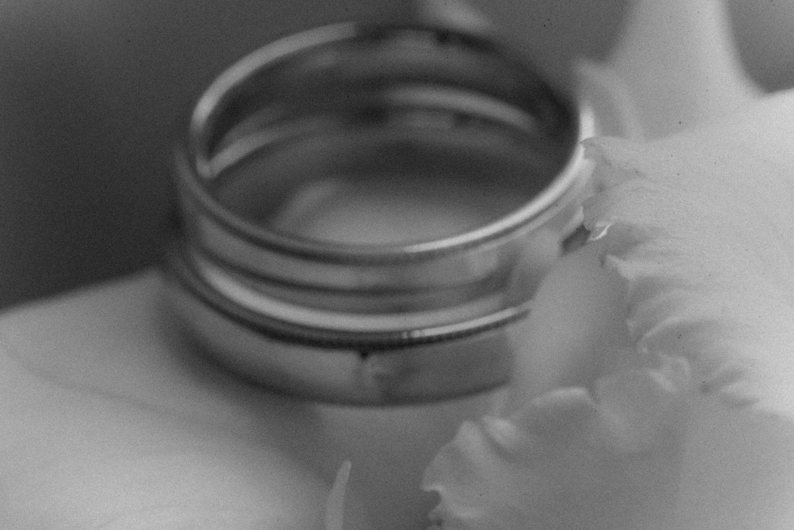 Данила + Аня — Организация ВАН ЛАВ. Свадебный и семейный фотограф Волгоград Москва