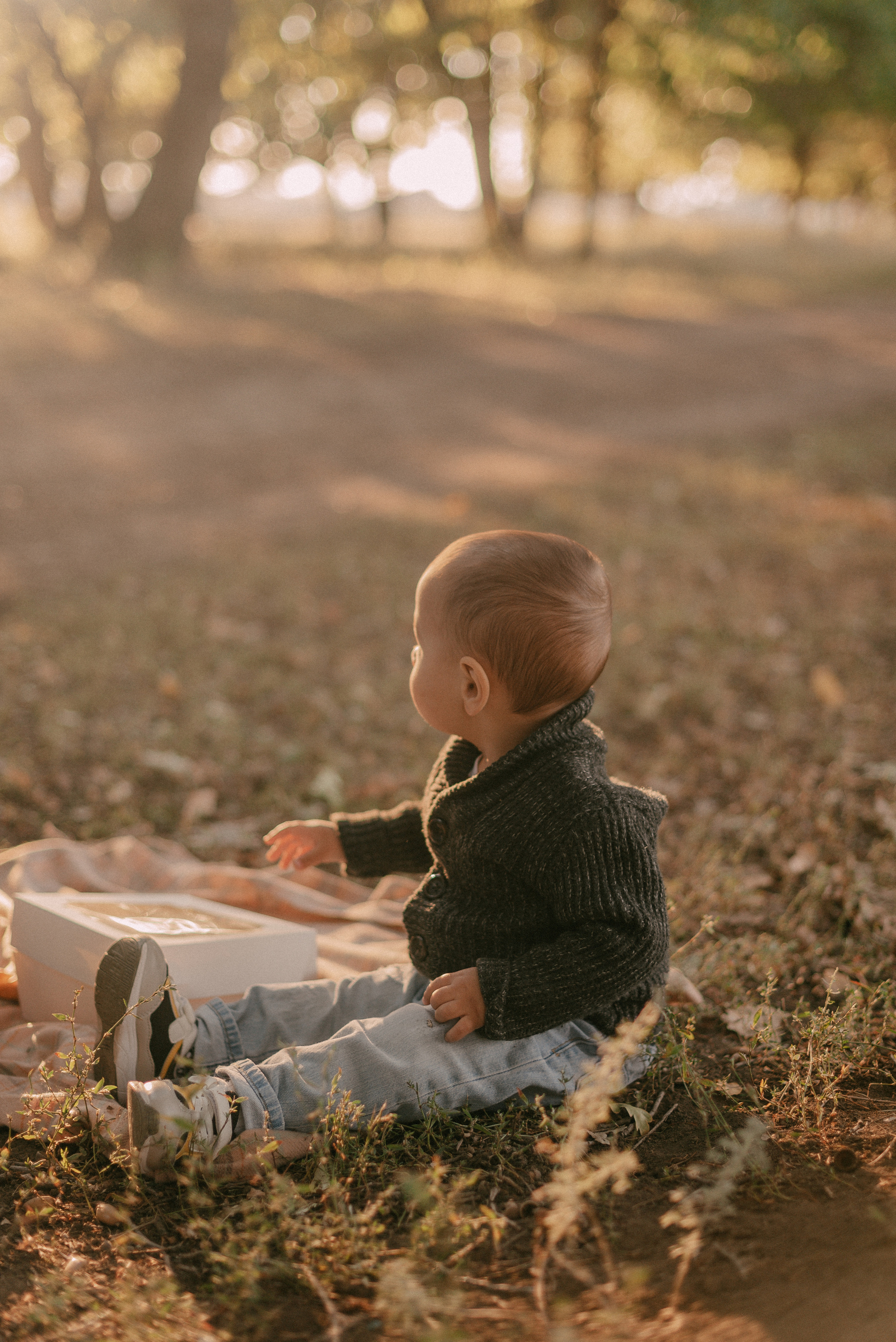 Артур, Соня, Эдгар и Арсен. Свадебный и семейный фотограф Волгоград Москва