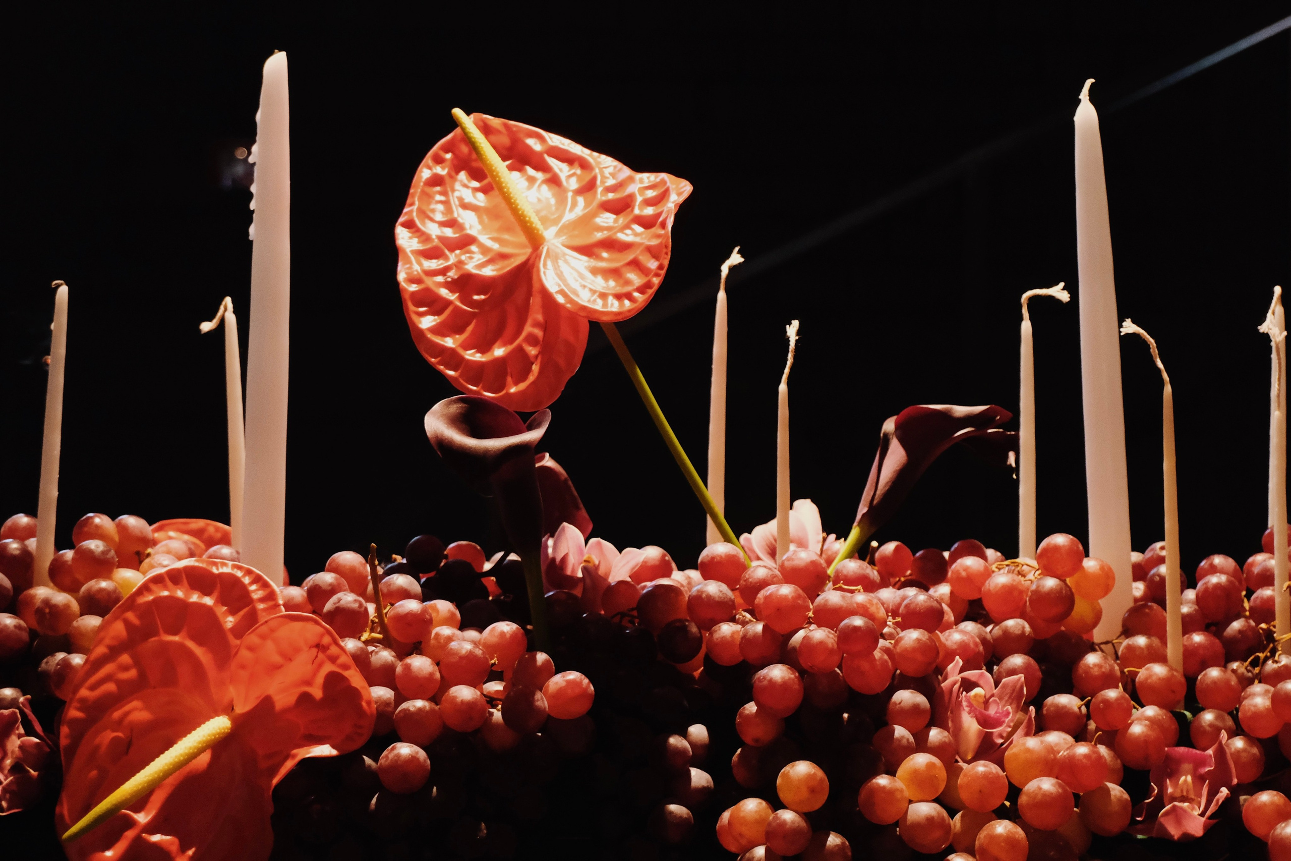 Винотека. Татьян гертье