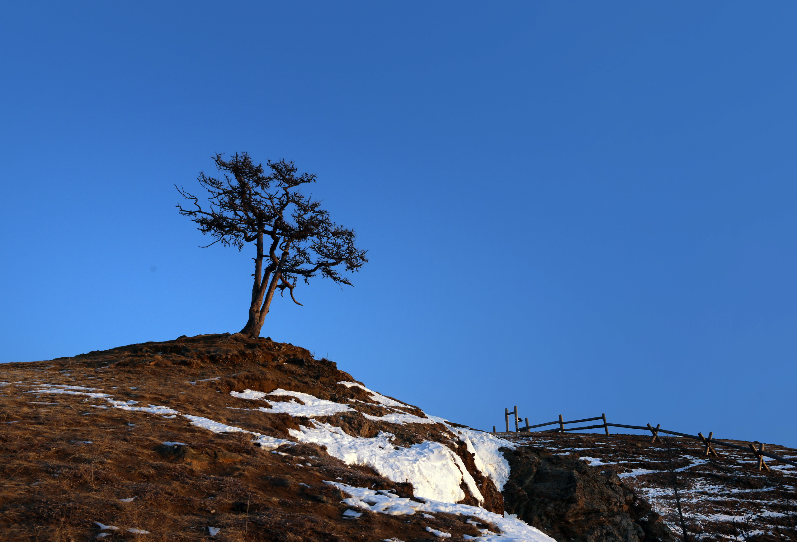 Пейзаж. Фотограф Наталья Туева FineArt съёмка