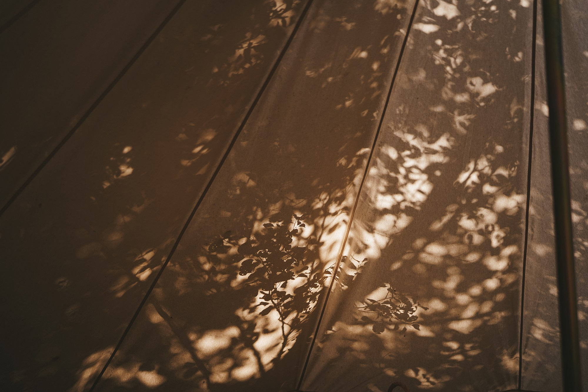 COMMERCIAL. Анна Ульянова