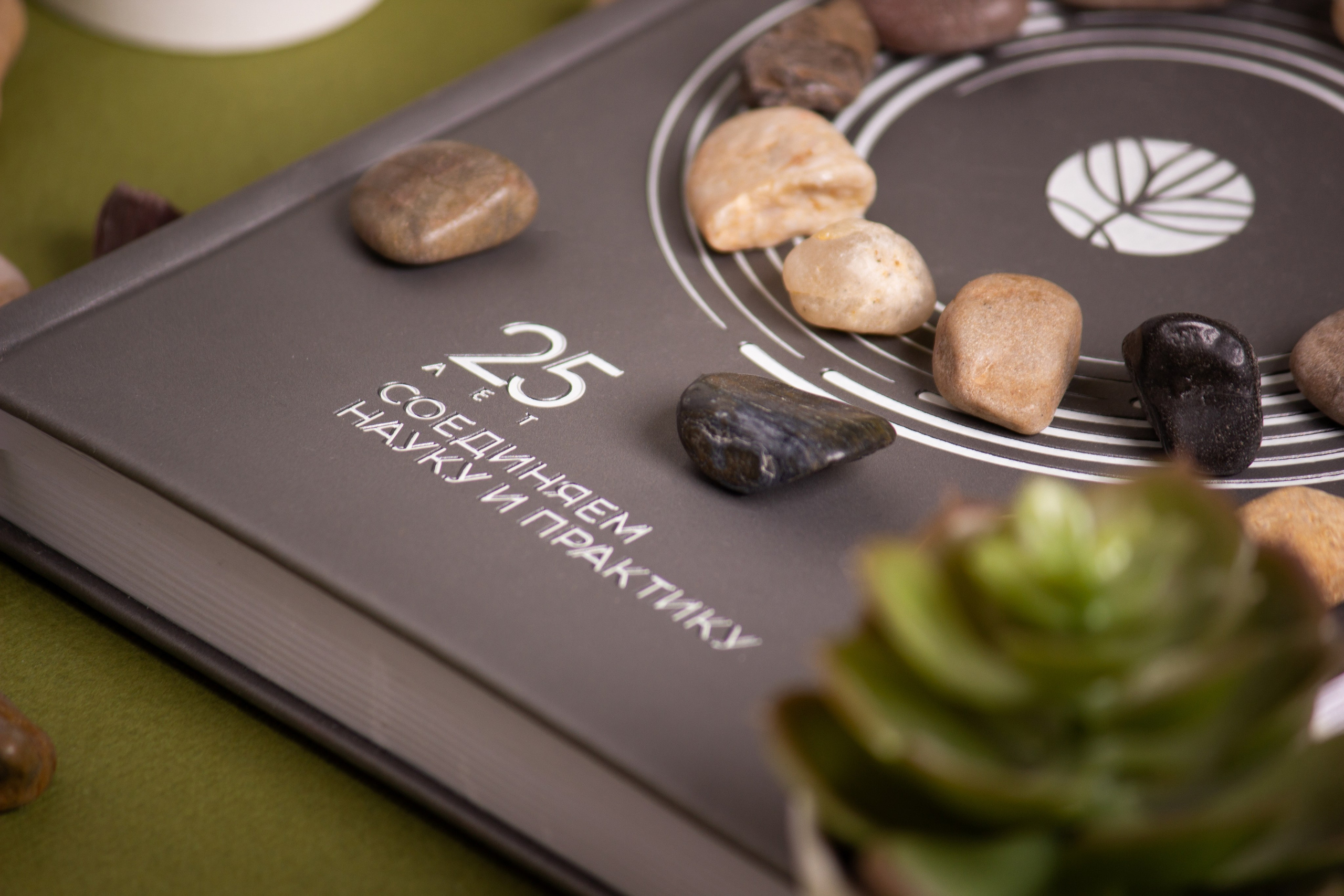 Щелково. Фуд-фотограф в Москве | Профессиональная съемка блюд и еды | Горбачёв Виталий