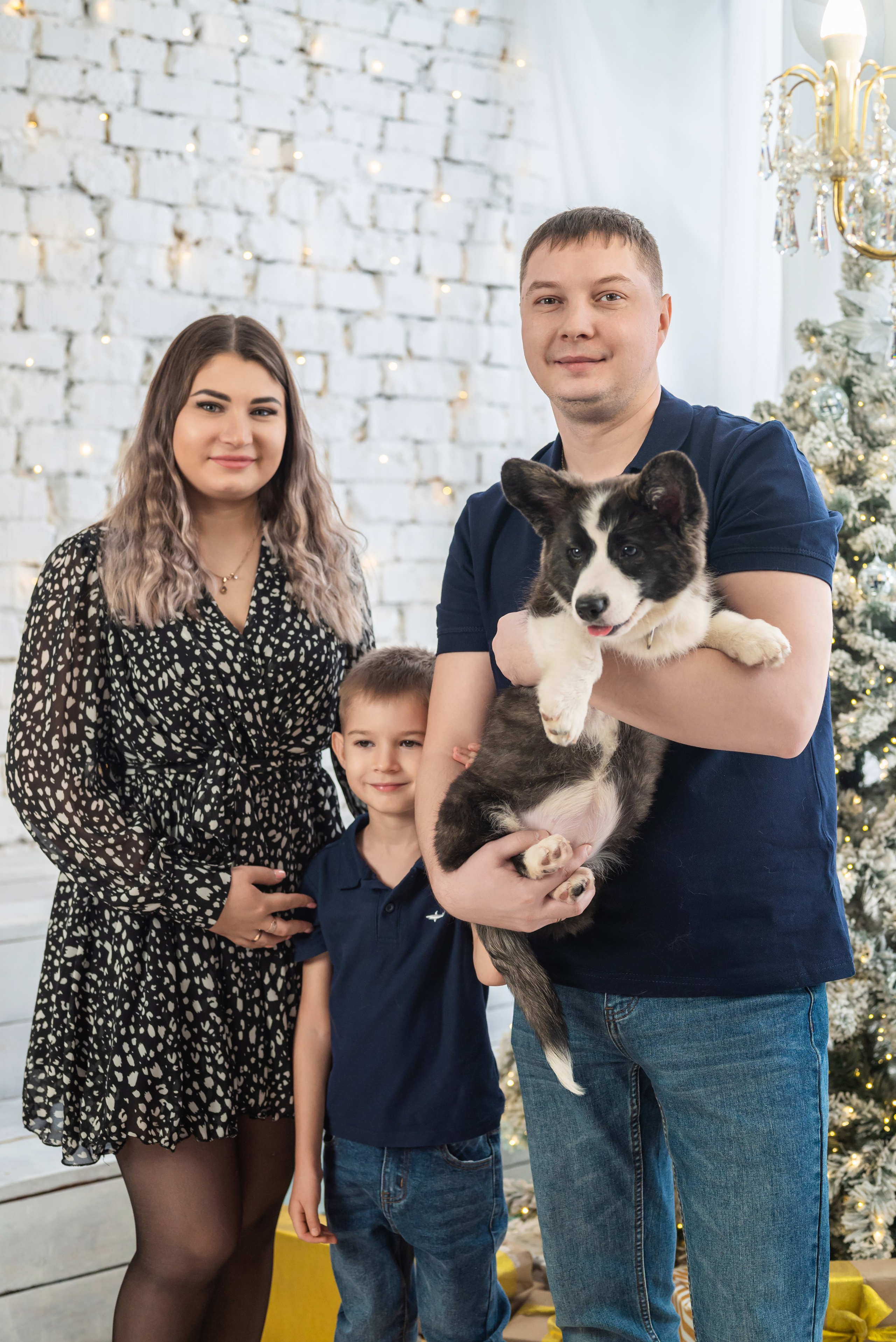 Фотопроект с корги. Фотограф в городе Салават