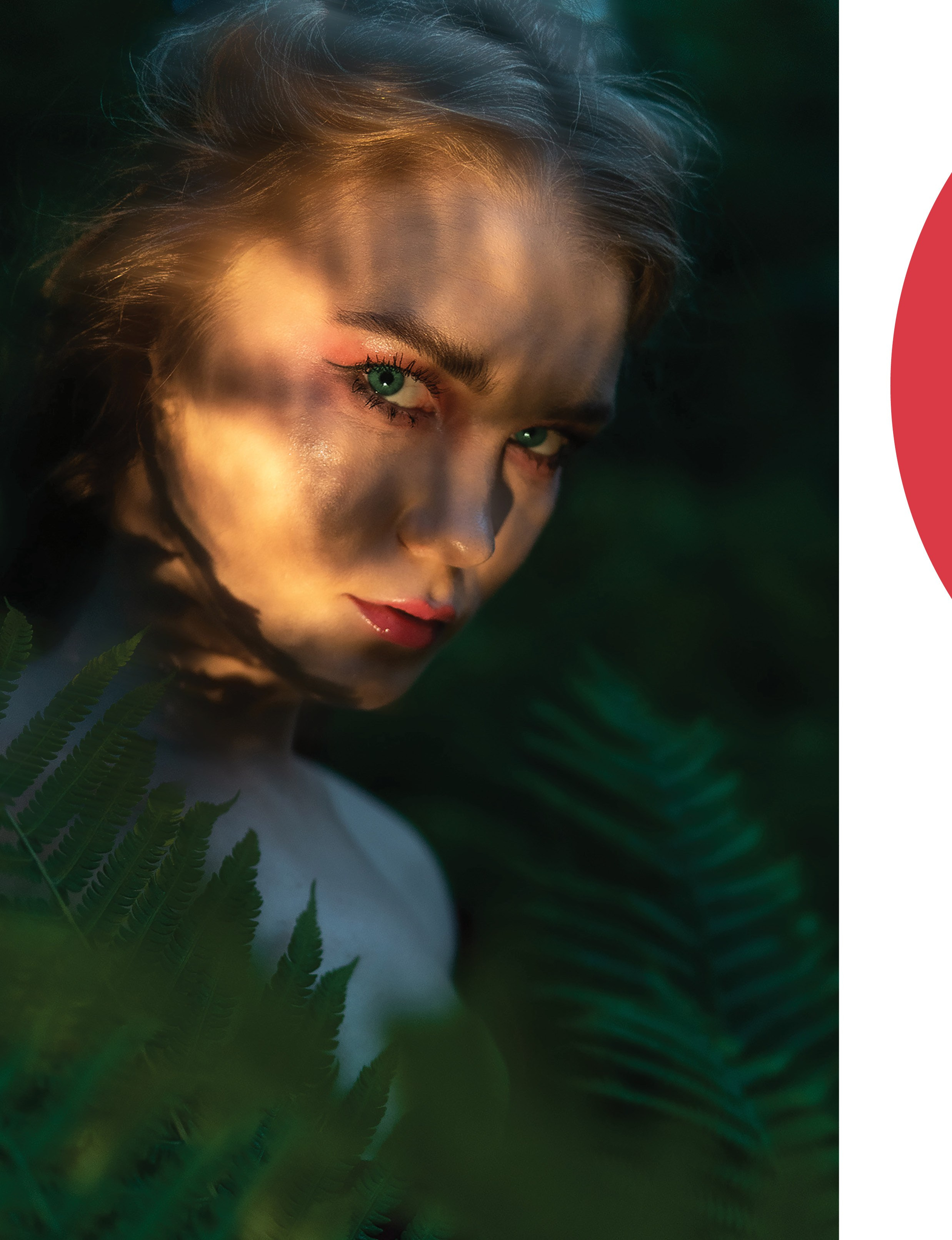 Jungle. Фотограф в Санкт-Петербурге и ЛО Егор Ставер