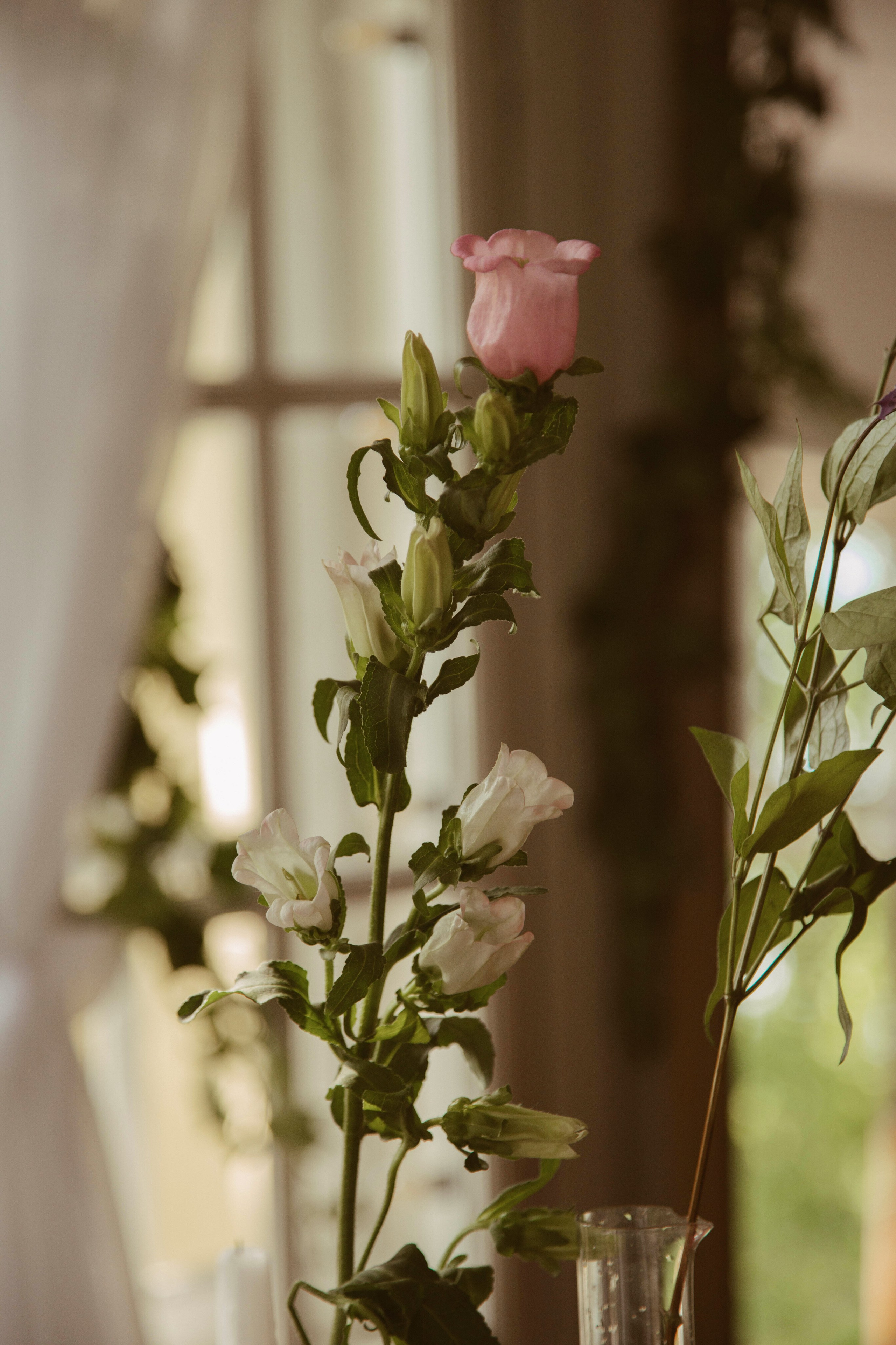 Яна. Съемка в студии Балкон. Фотограф Ксения Третьякова, Санкт-Петербург