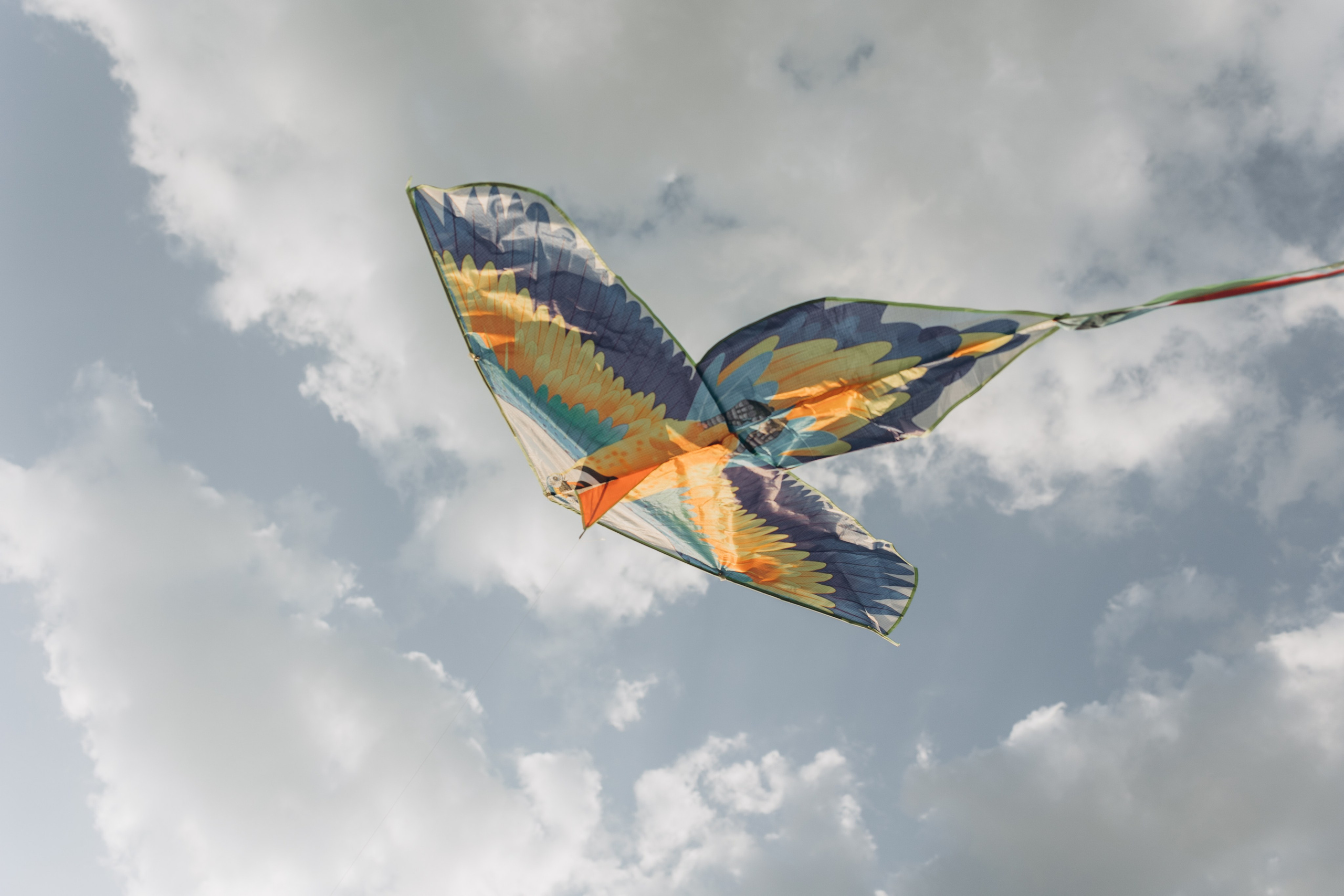 Воздушный змей. Семейный фотограф в Москве Виктория Ястребинская