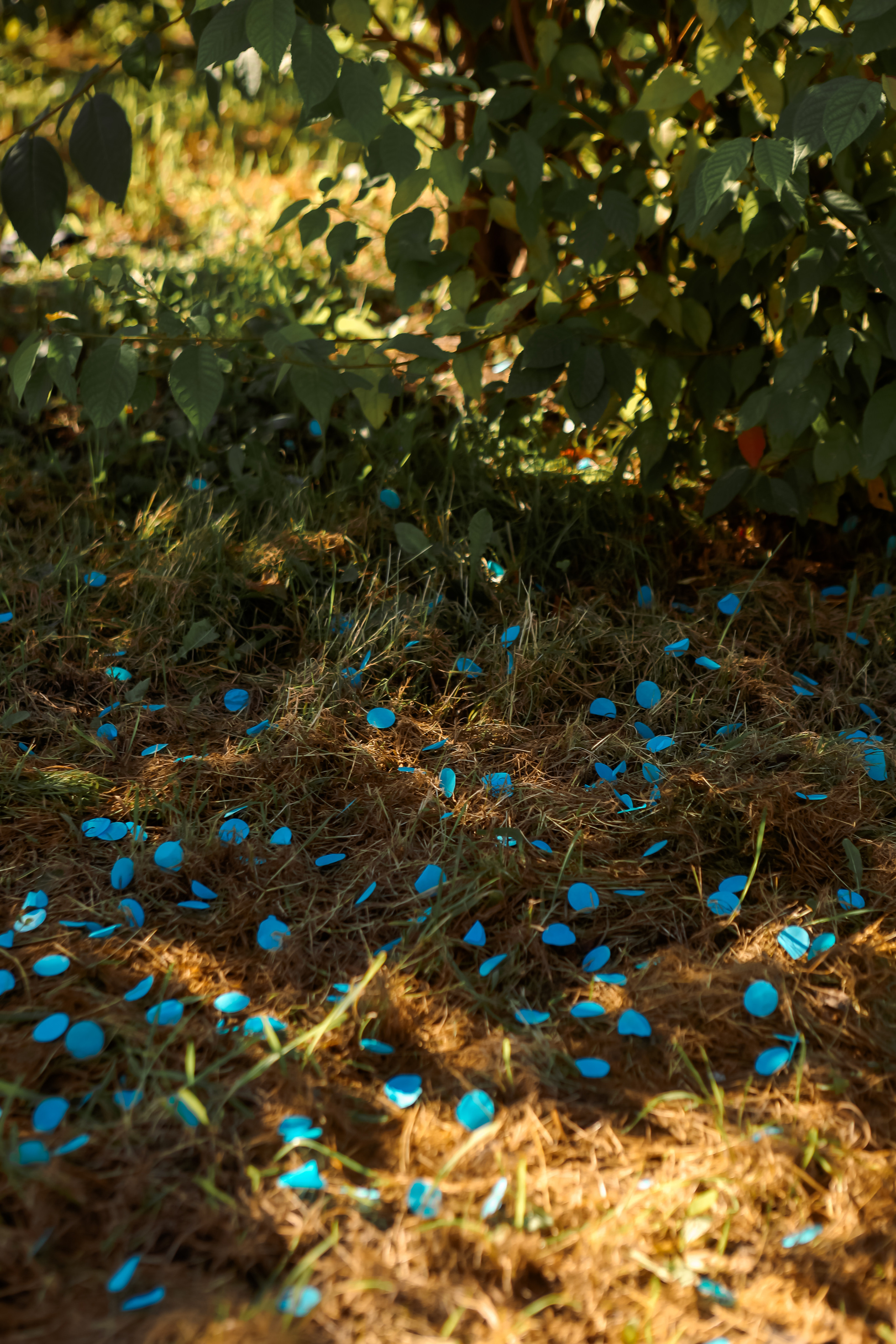 Кристина+Максим. Семейный и свадебный фотограф во Владивостоке Аня Смецкая