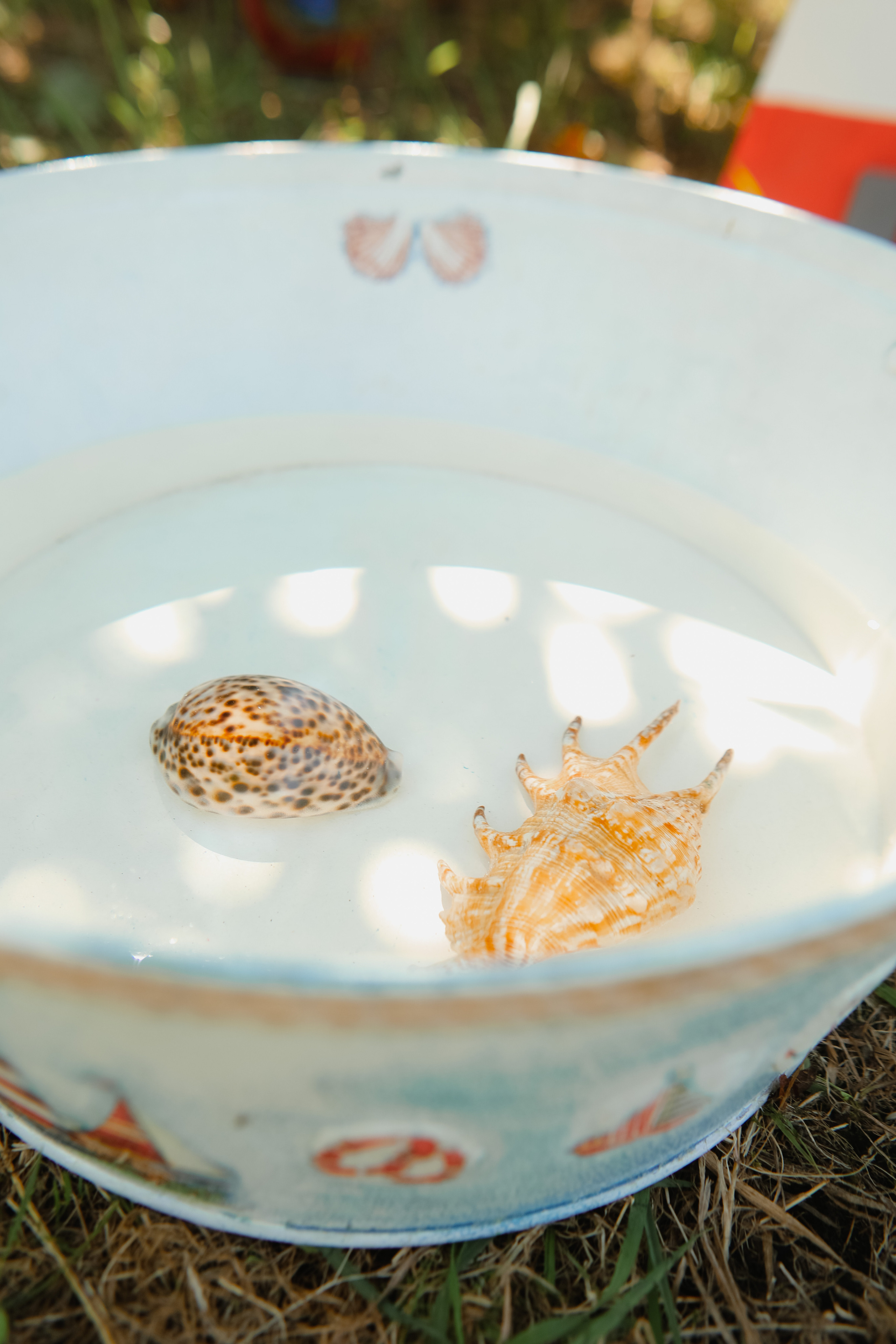 Морская зона. Семейный и свадебный фотограф во Владивостоке Аня Смецкая