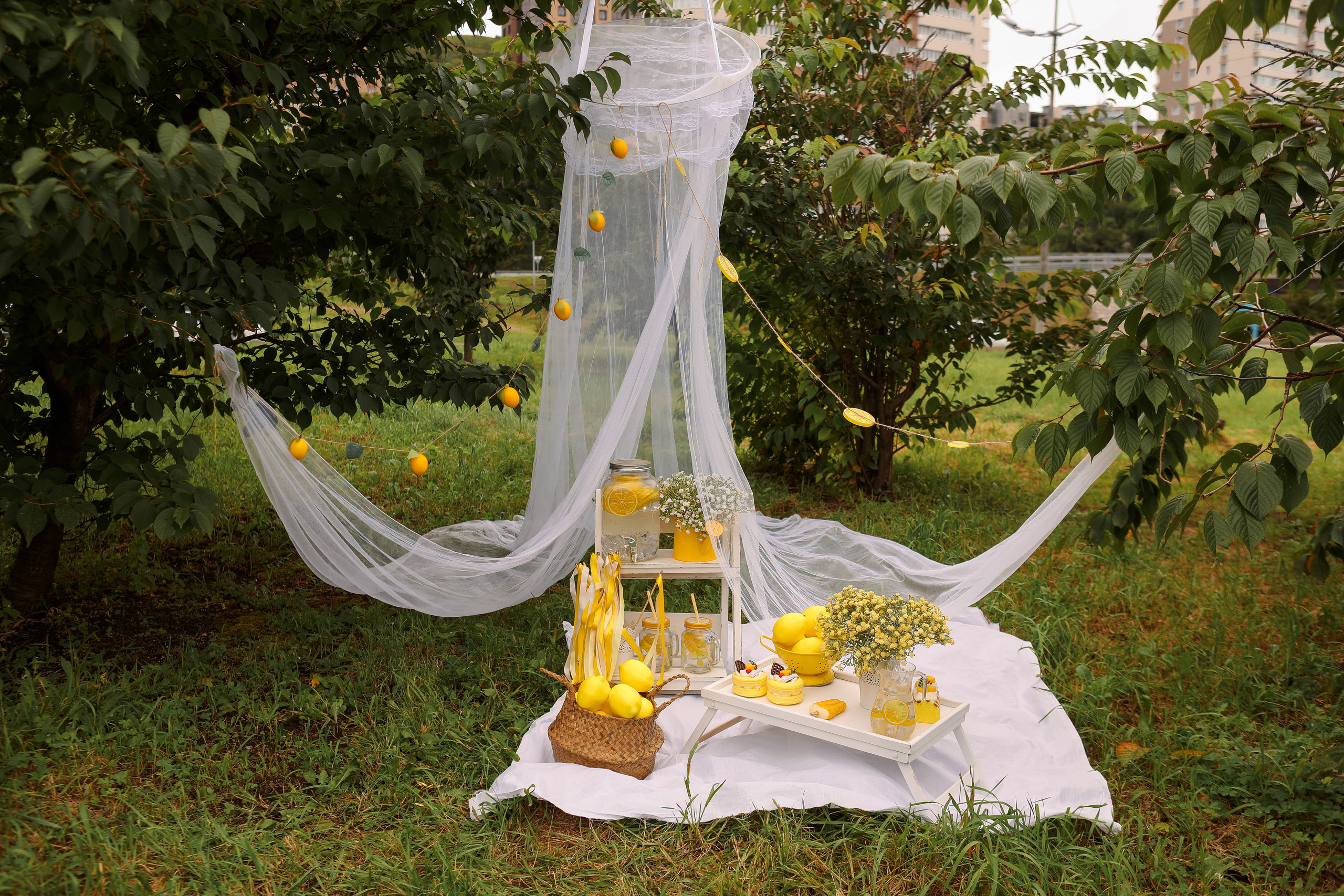 Лимонадная зона. Семейный и свадебный фотограф во Владивостоке Аня Смецкая