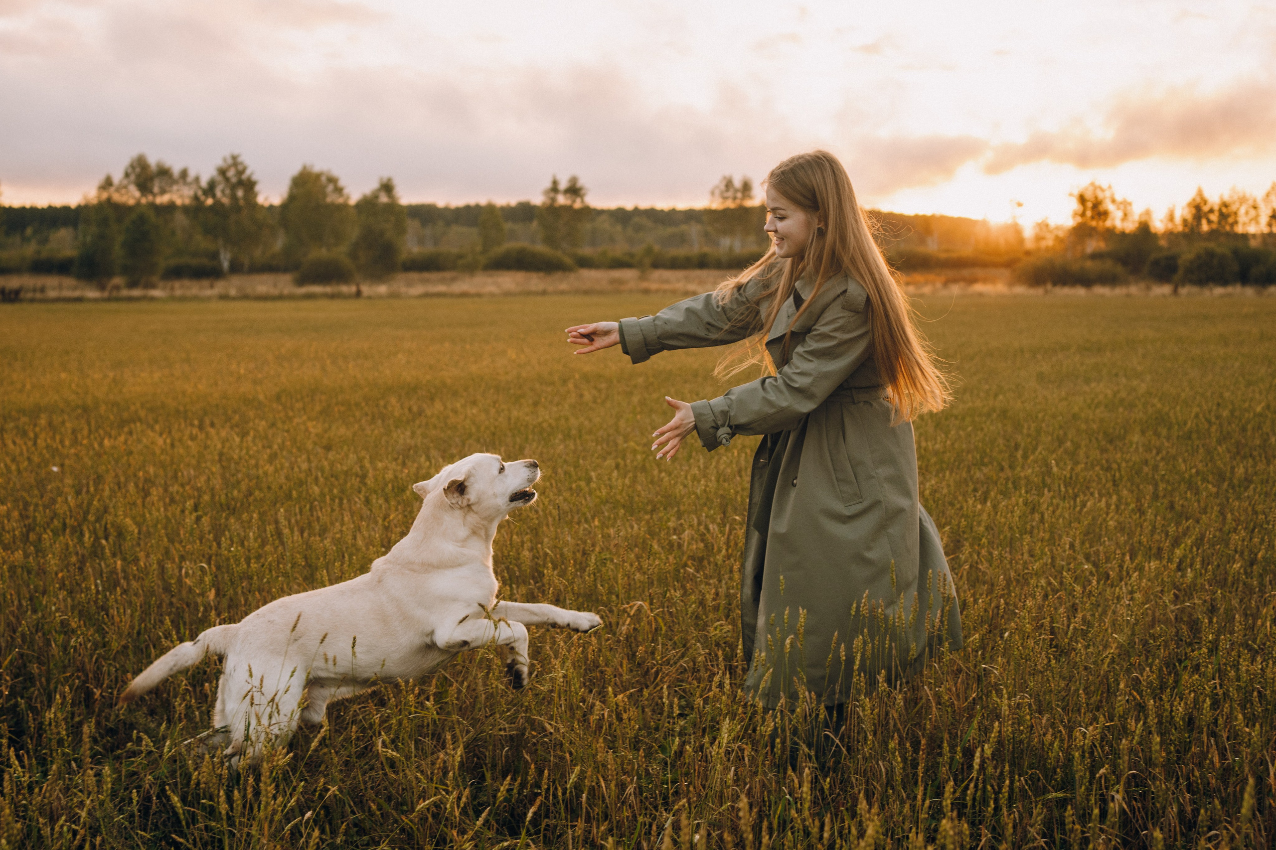 Дана и Арчи. Фотограф-анималист Анастасия Большакова