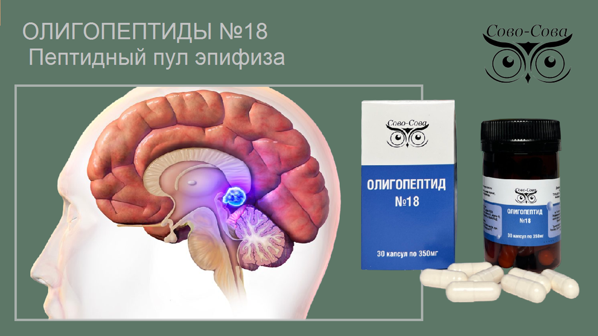 Олигопептид № 18 — Пептидный пул эпифиза (лечение бессонницы)