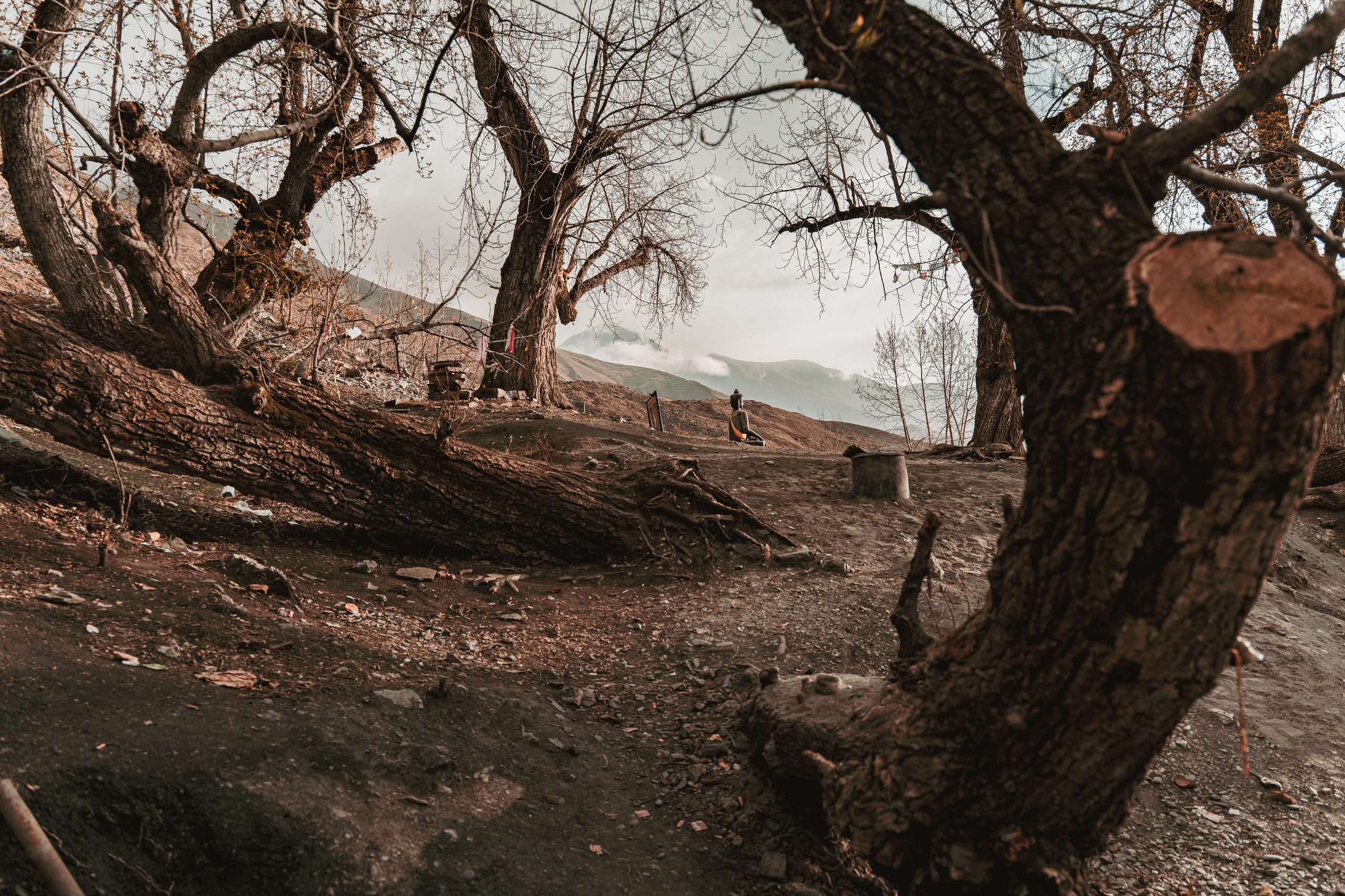 Королевство Мустанг. Dmitry Ippolitov