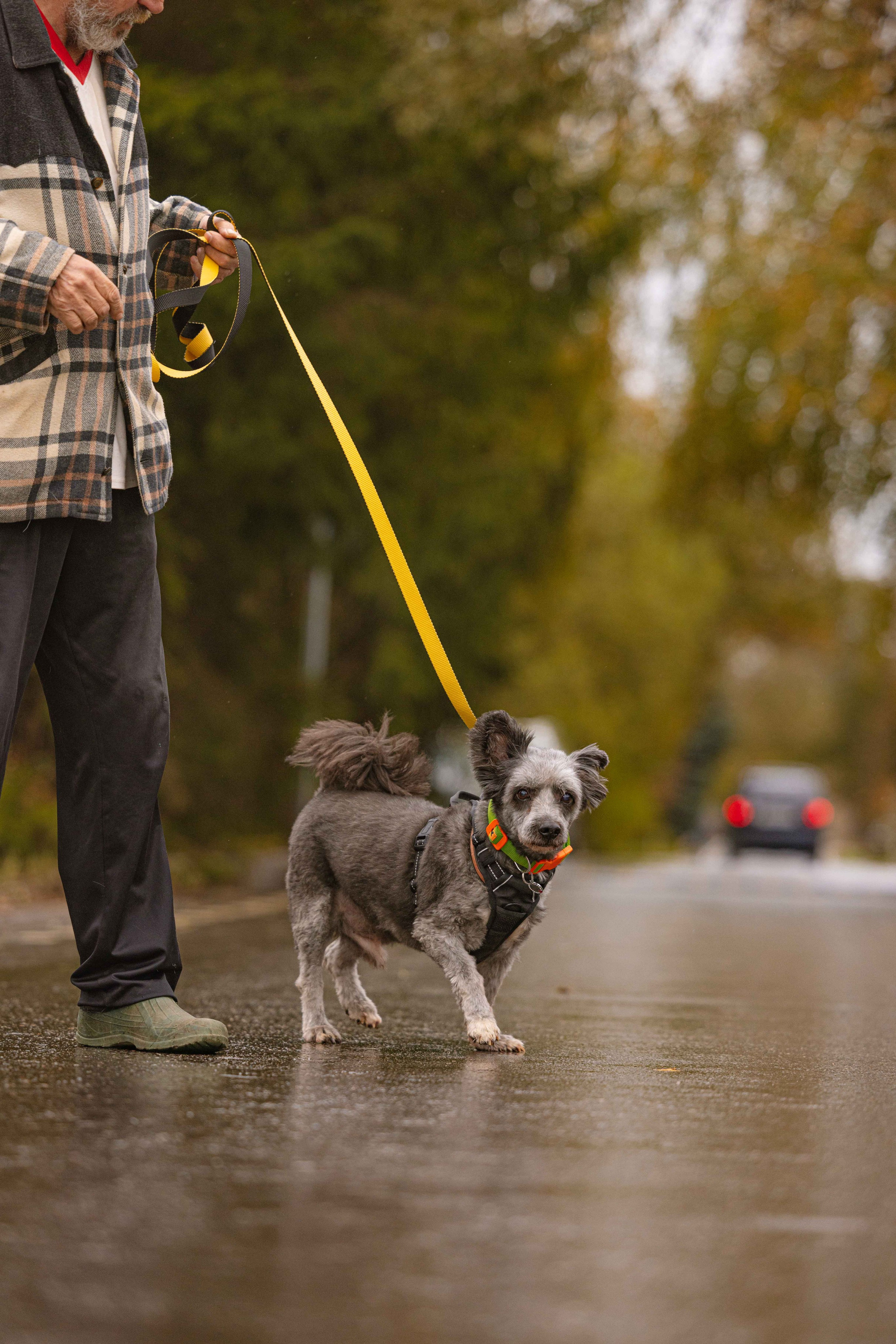 Передержка. Фотограф-анималист в Москве Лера Черноног