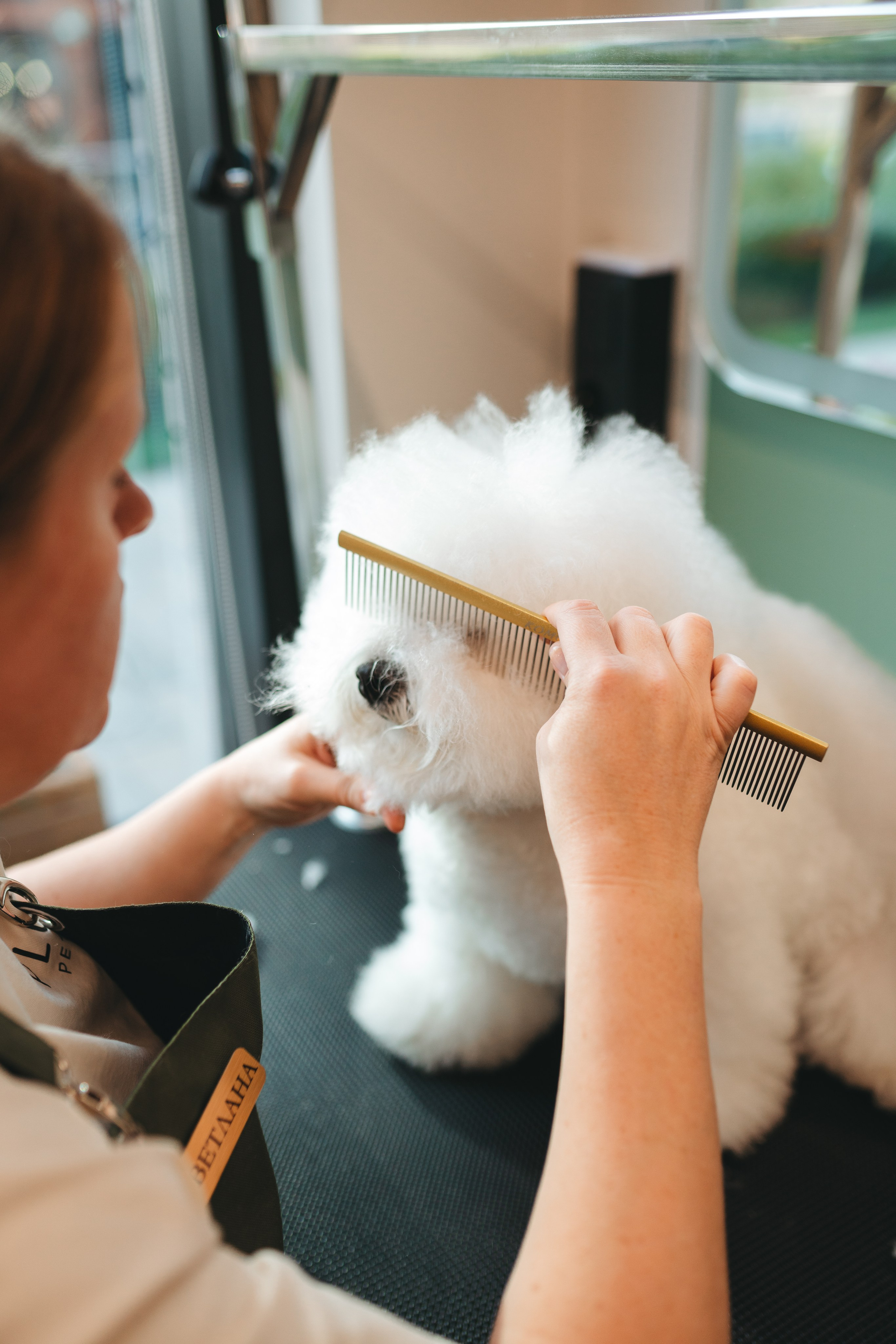 Груминг — салон. Фотограф анималист Осипчикова Мария
