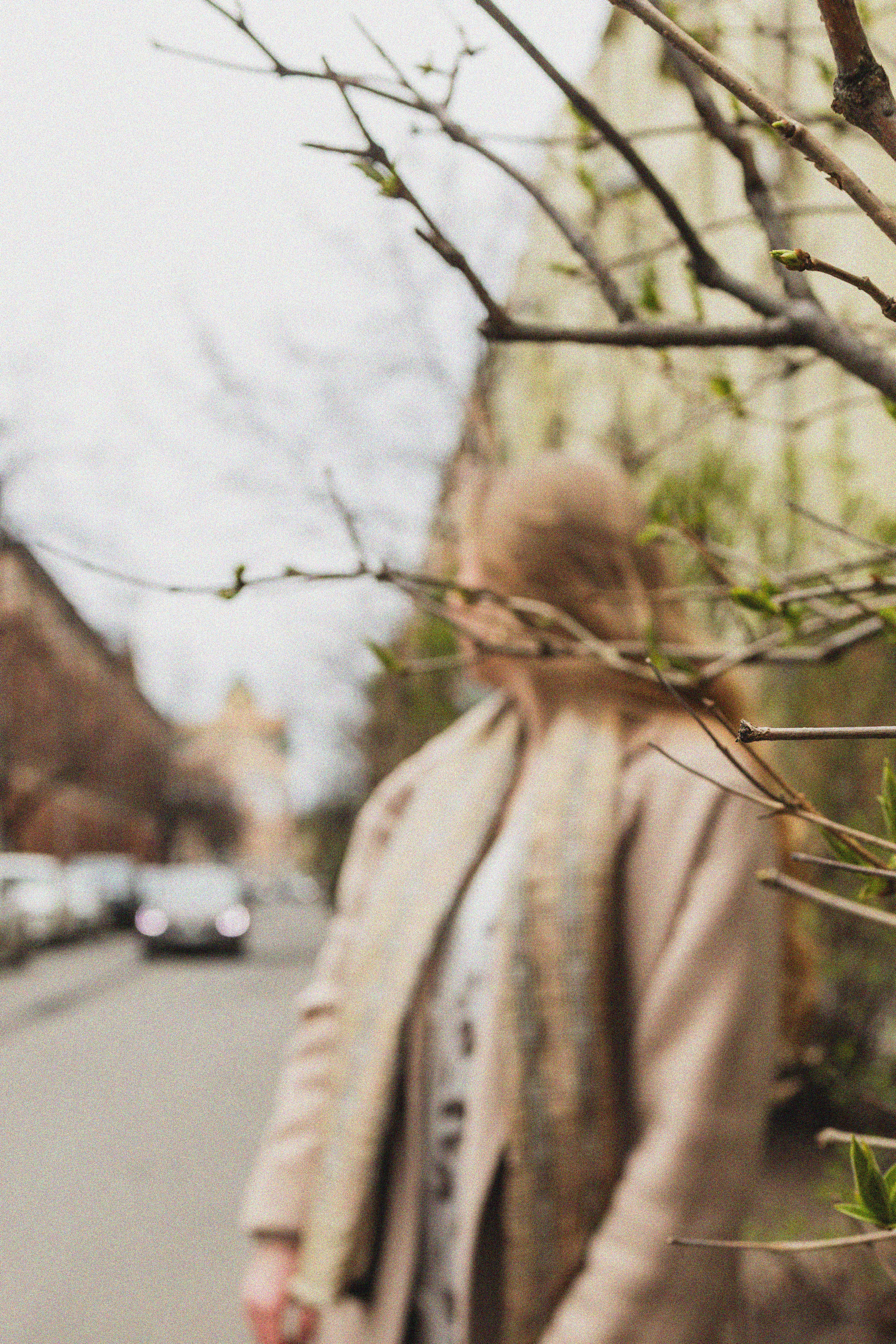 Эстетика П р о Я в л е н и я. Виноградова Маргарита. Фотограф P r o Явления