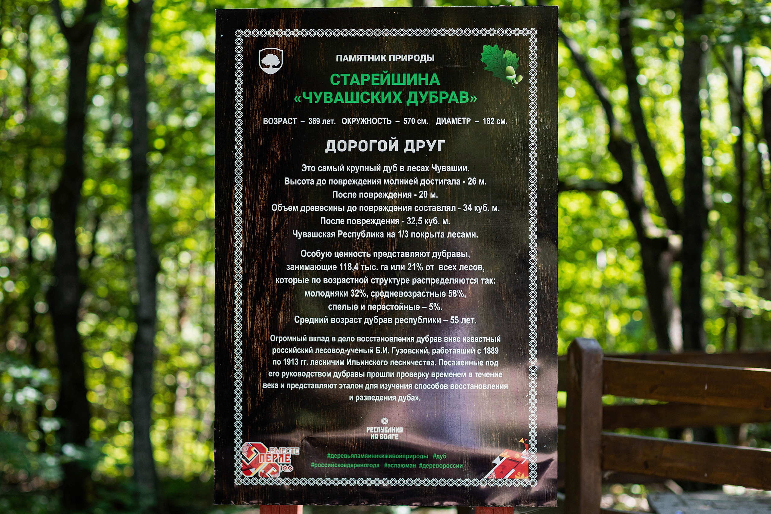 Фотосессия с Леной в Моргаушском районе. Портретный и репортажный фотограф в Чебоксарах Андриян Чаркин