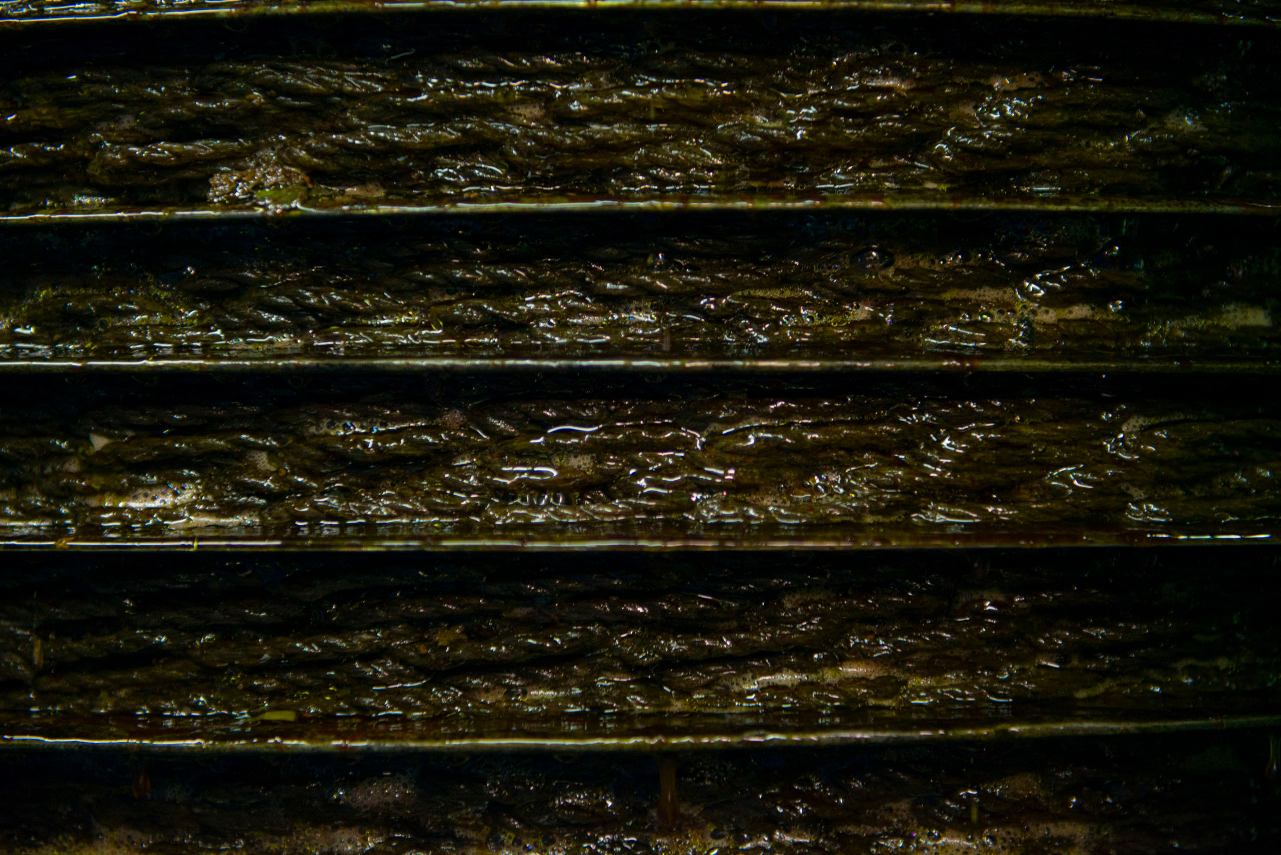 Стопка влажных, пропитанных оливковой пастой волоконных фильтрующих матов (также известных как "скуртины"), извлеченных из традиционного гидравлического пресса.