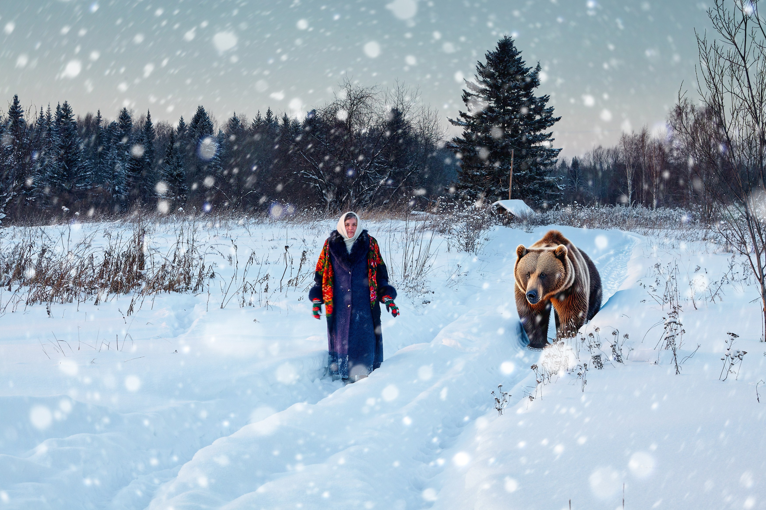 Портрет Мамы. DMITRY MOISEENKO — фотограф, художник, топ-стилист