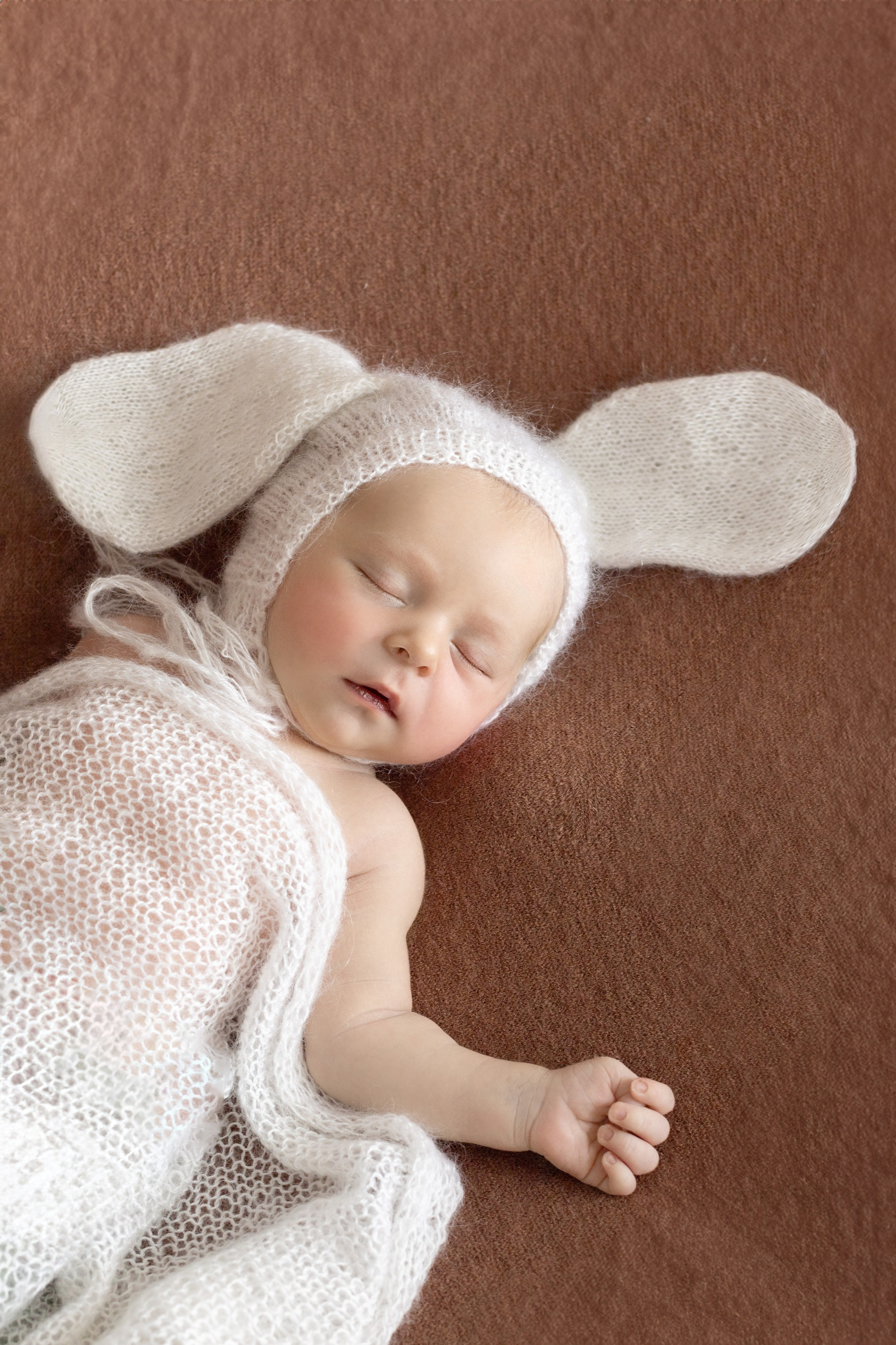 Лев. Ольга SHREIBICUS — Фотография беременности и новорожденных Оренбург