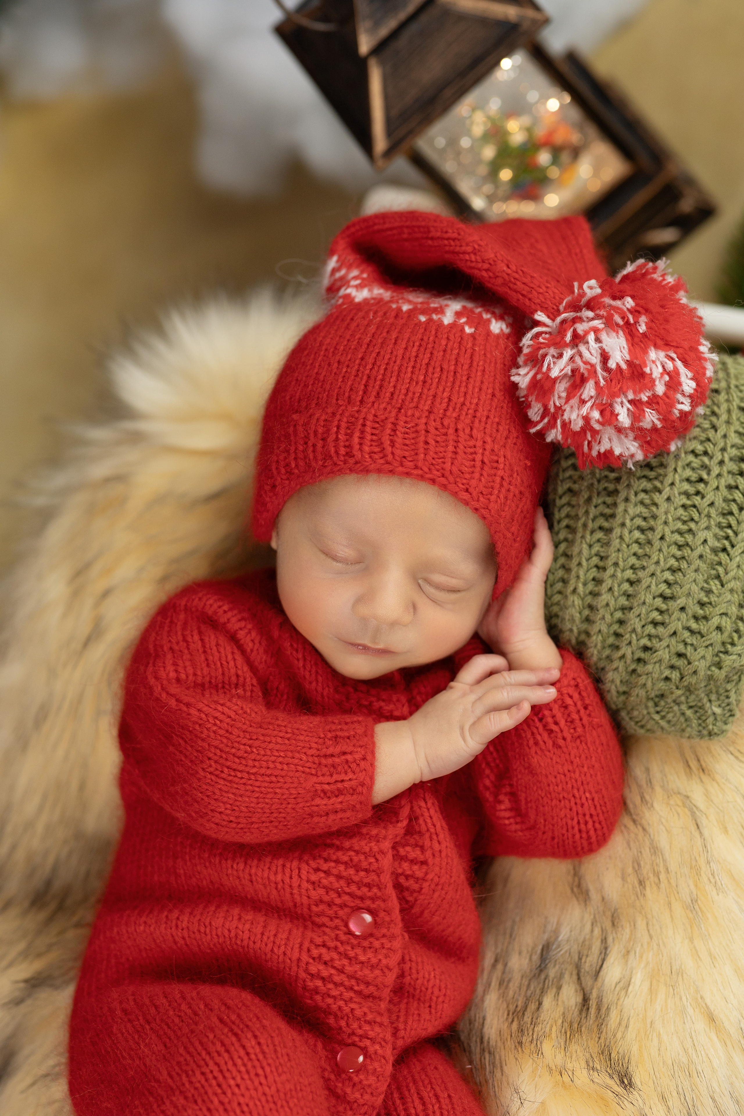 Лев. Ольга SHREIBICUS — Фотография беременности и новорожденных Оренбург