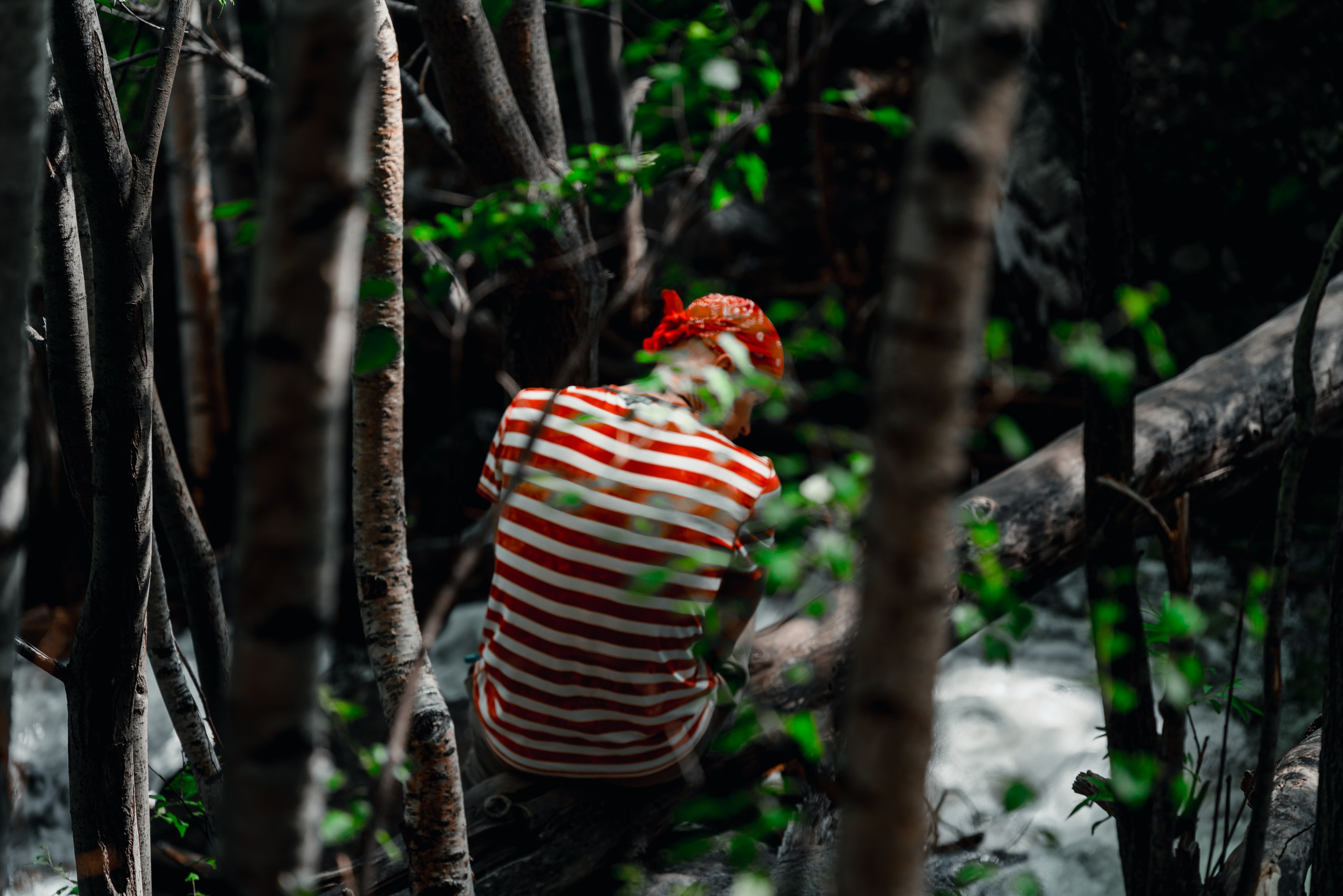 Алтай. Оператор и Фотограф в Санкт-Петербурге и Москве