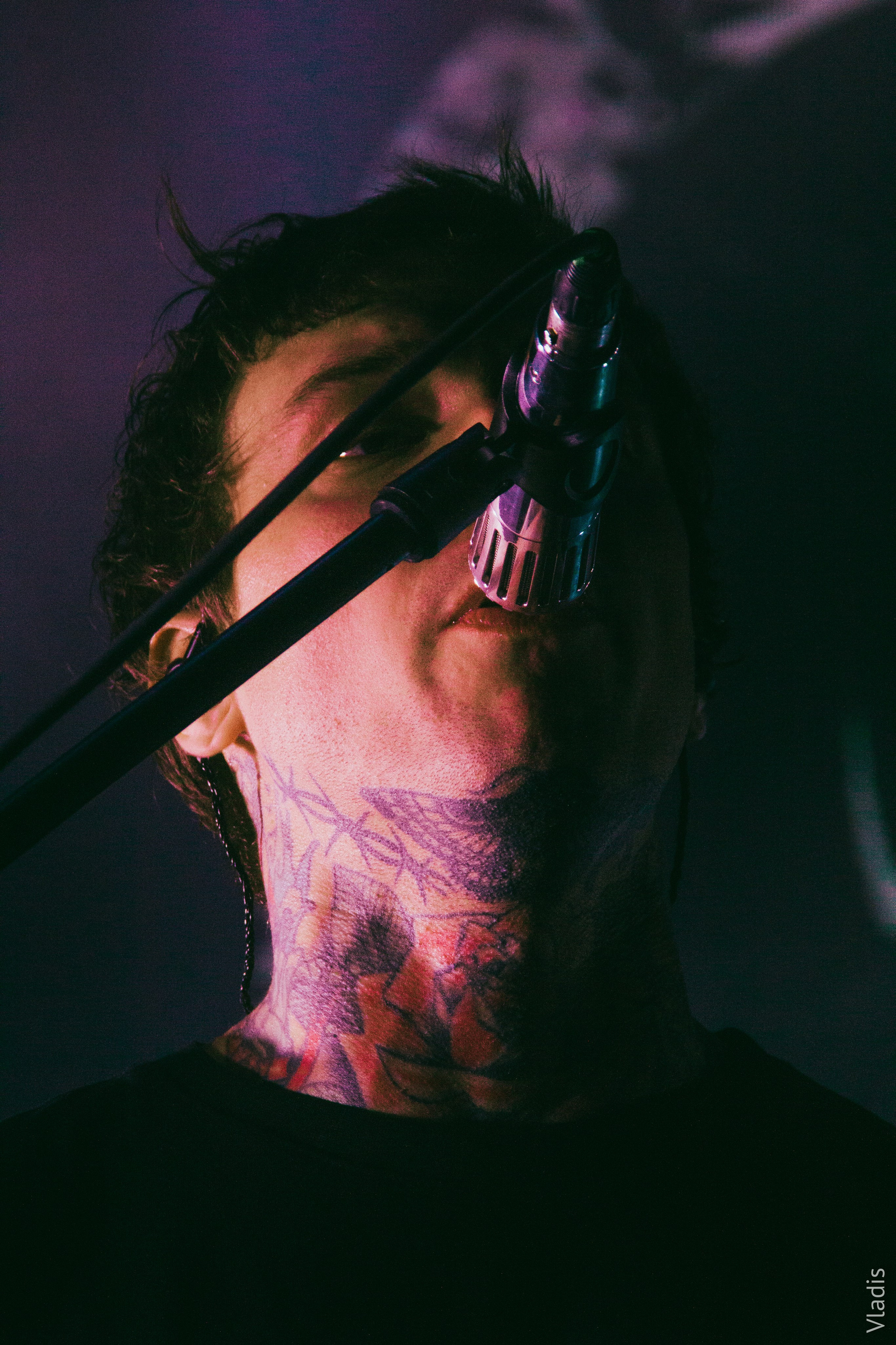 AMATORY BASE NEW YEAR FEST 2026 | Петербург. VLADIS PISKUNOV | Концертные Фото |Репортажи