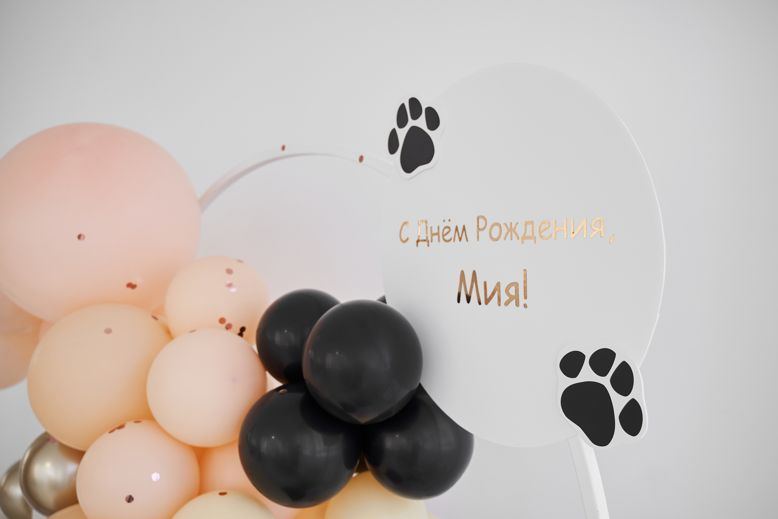 С днем рождения, Мия!. Фотограф в Тюмени Алиса Абрашина