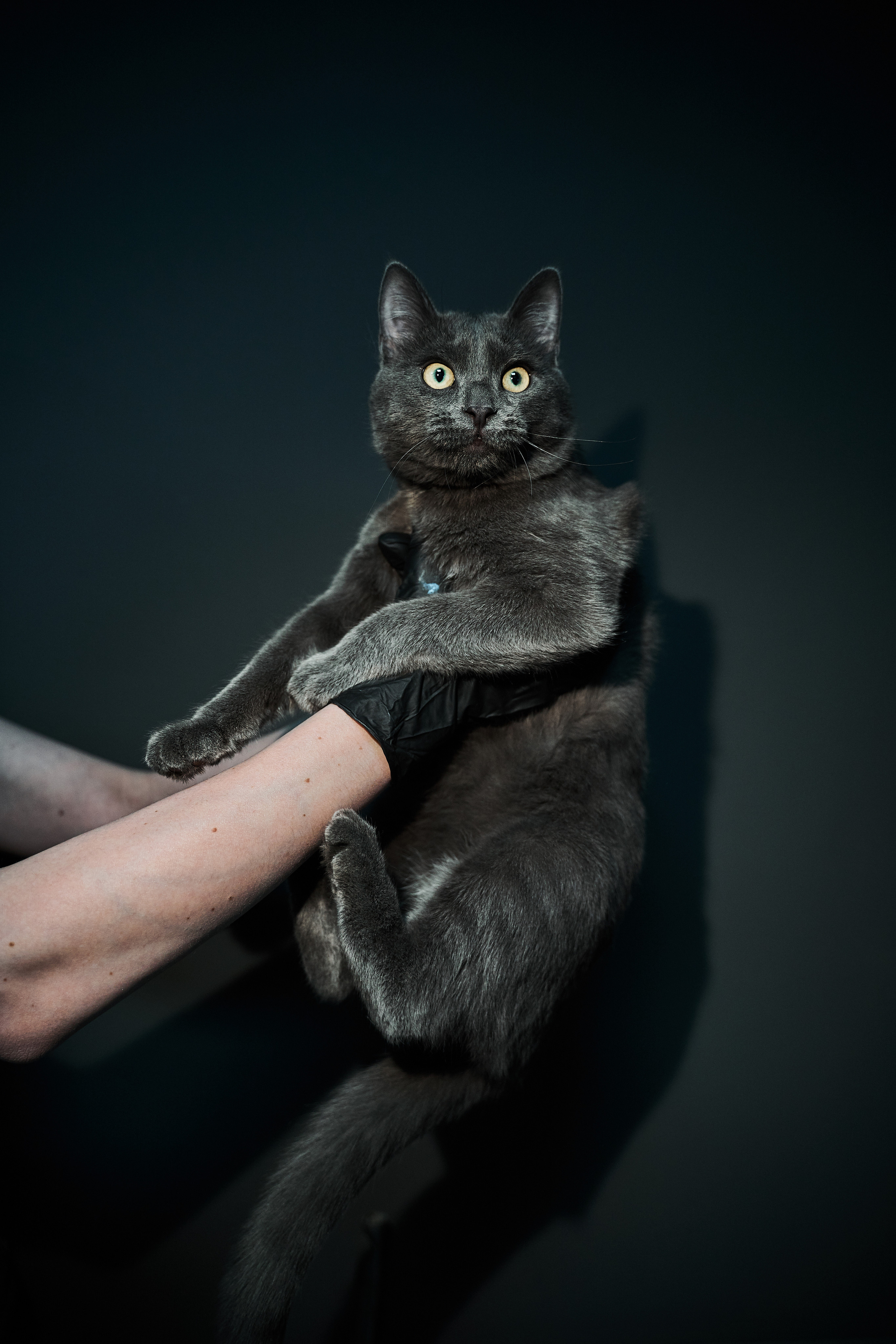 Контент съемка для компании WEDS. Фотограф в Тюмени Алиса Абрашина