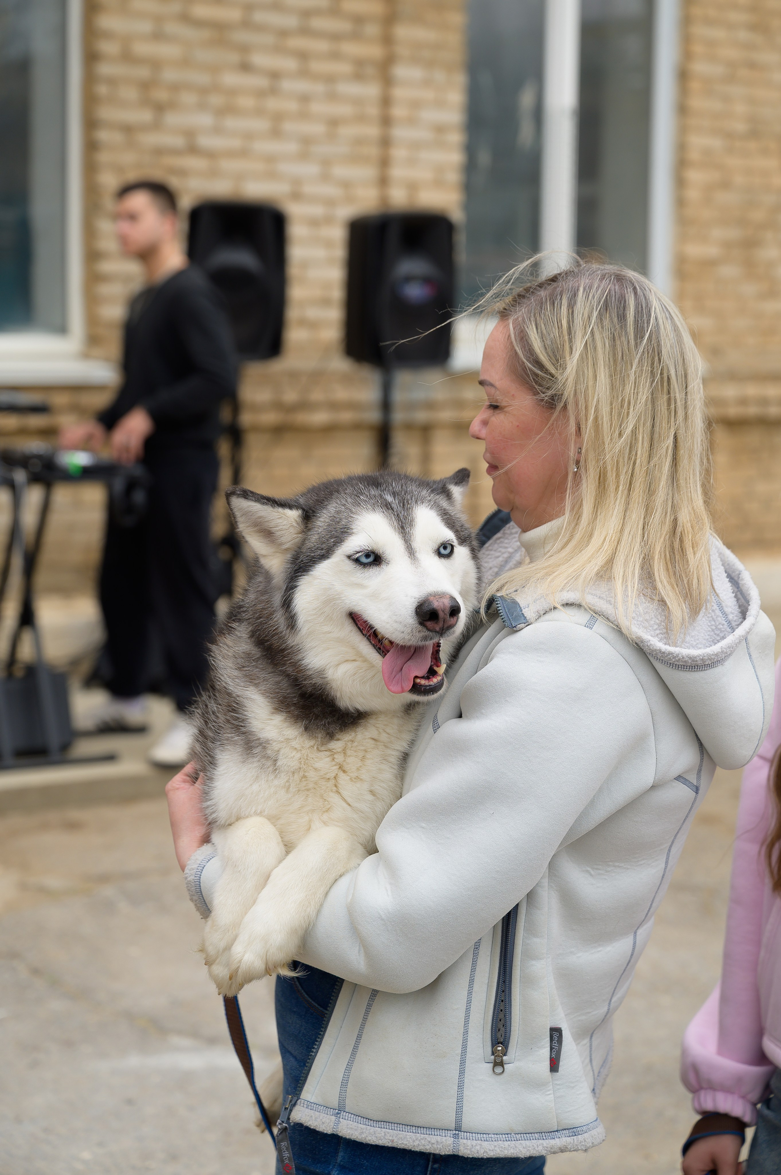 Открытие приюта для собак породы Хаски «Хаски дом»
