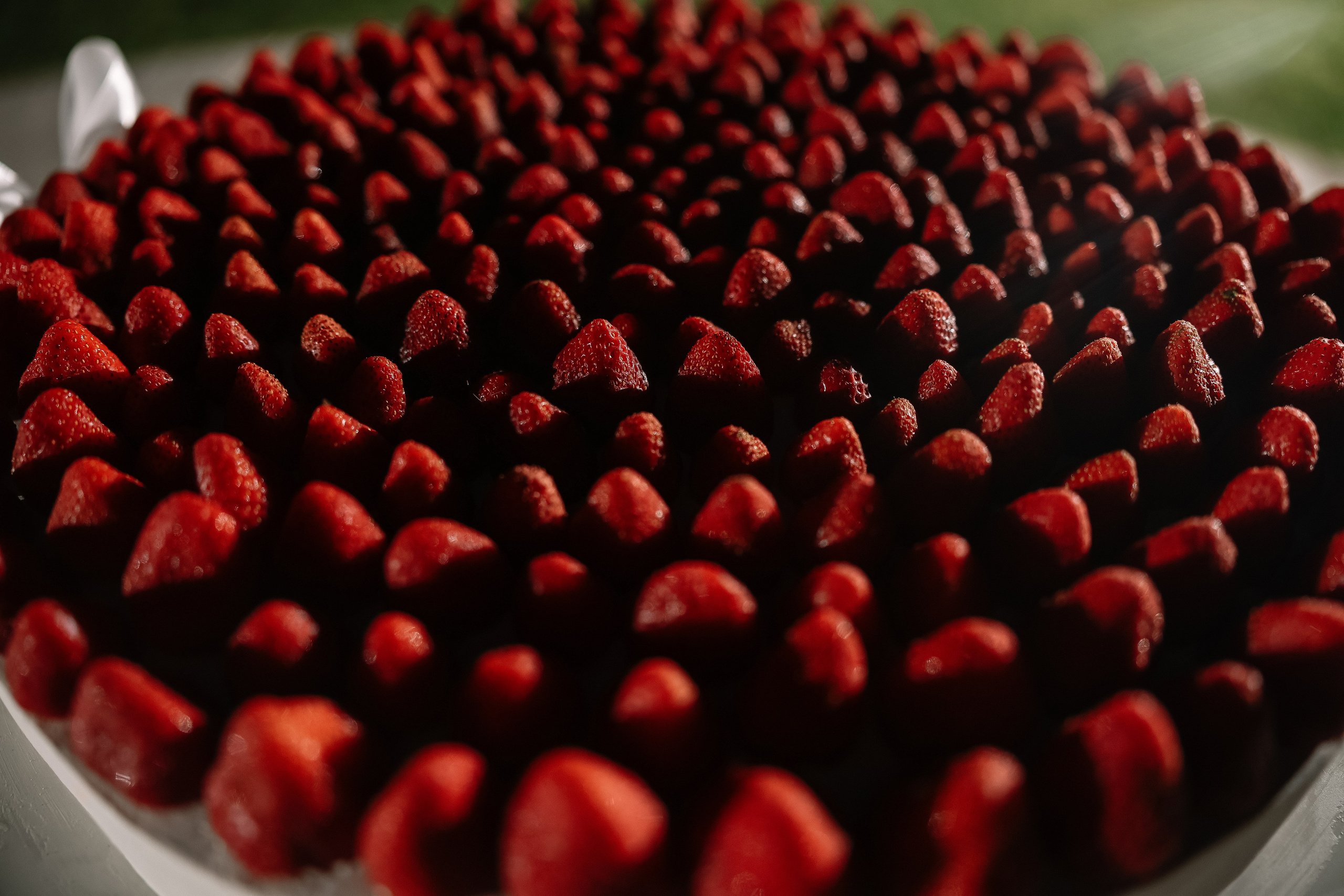 Игристая бусинка. Свадебный и семейный Фотограф Денис Кошель